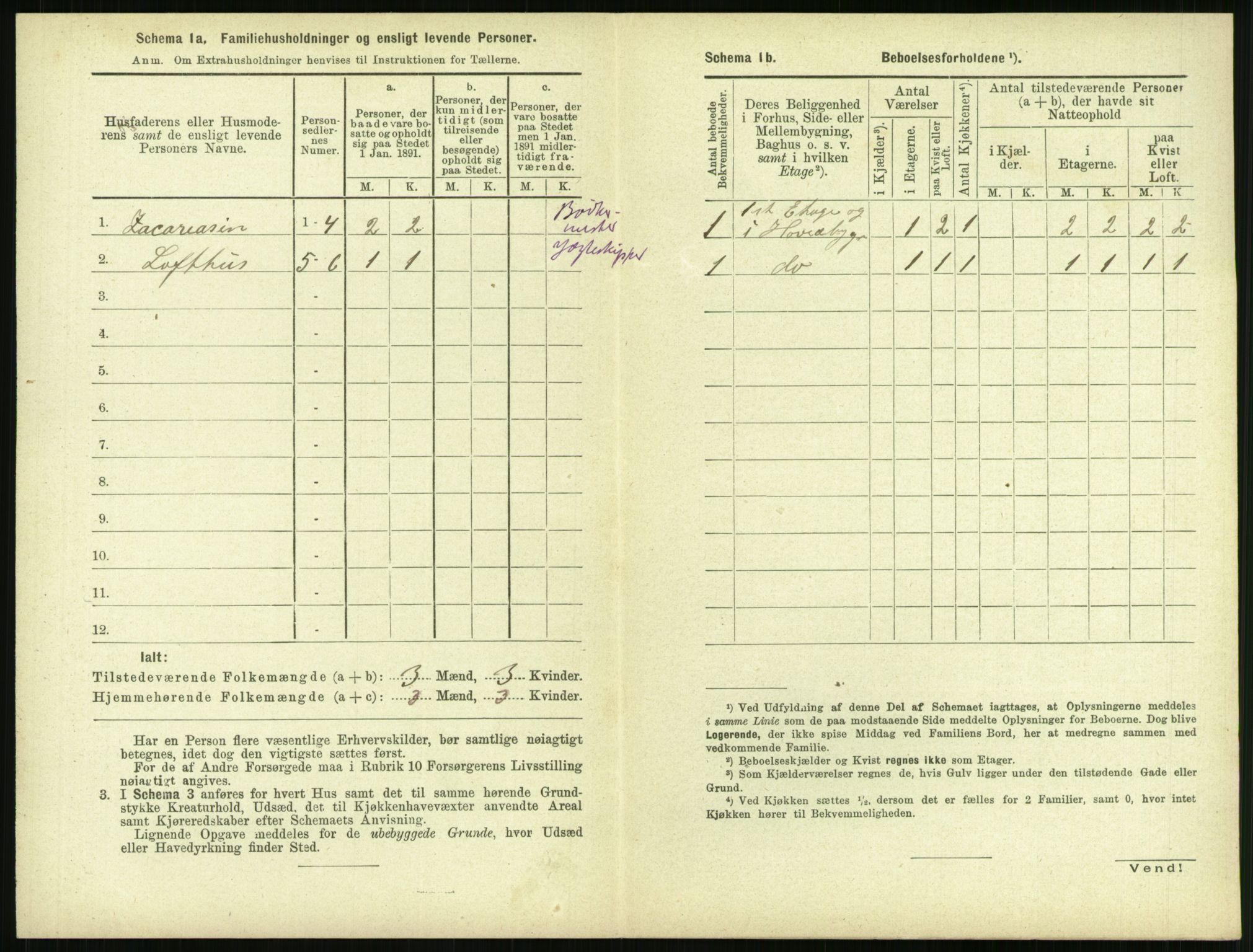 RA, 1891 census for 1106 Haugesund, 1891, p. 899