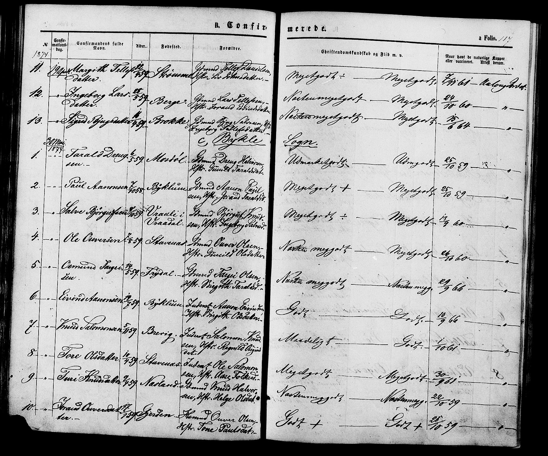 Valle sokneprestkontor, AV/SAK-1111-0044/F/Fa/Fac/L0008: Parish register (official) no. A 8, 1868-1882, p. 117