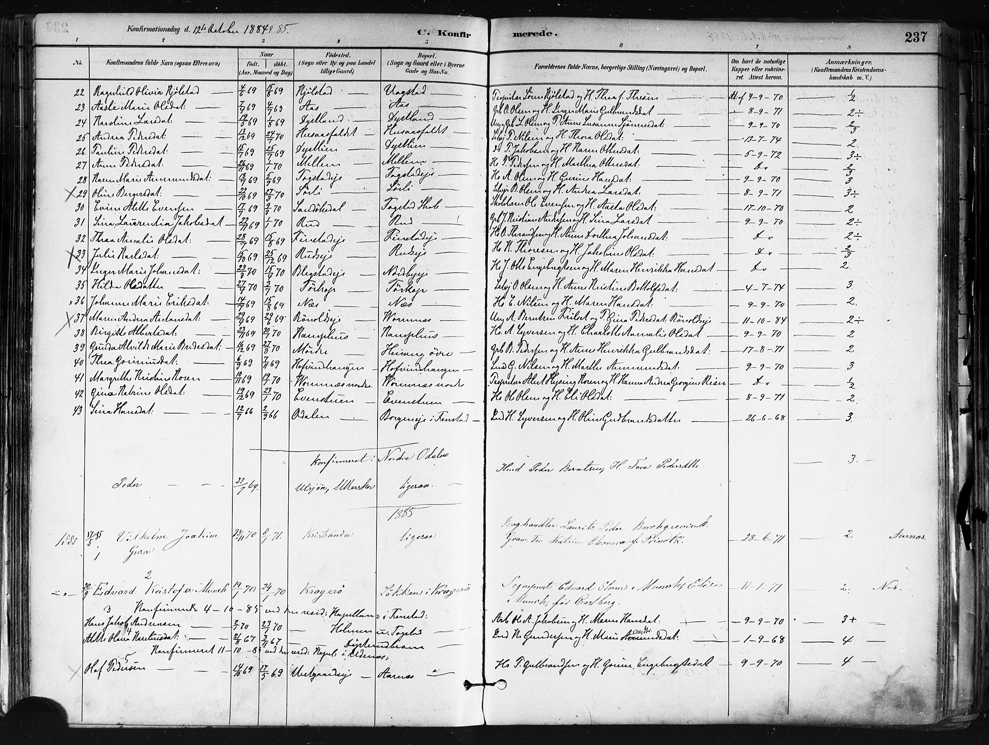 Nes prestekontor Kirkebøker, SAO/A-10410/F/Fa/L0010: Parish register (official) no. I 10, 1883-1898, p. 237