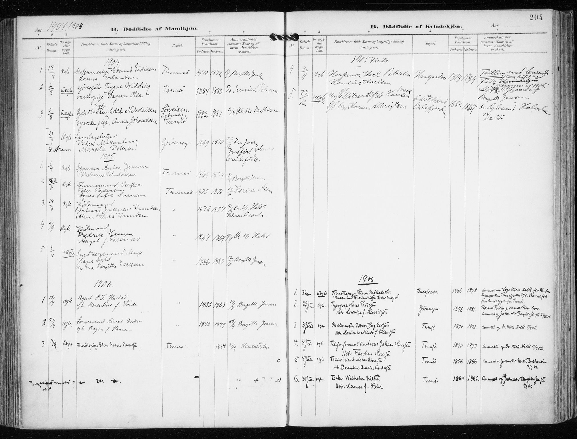 Tromsø sokneprestkontor/stiftsprosti/domprosti, AV/SATØ-S-1343/G/Ga/L0016kirke: Parish register (official) no. 16, 1899-1906, p. 204