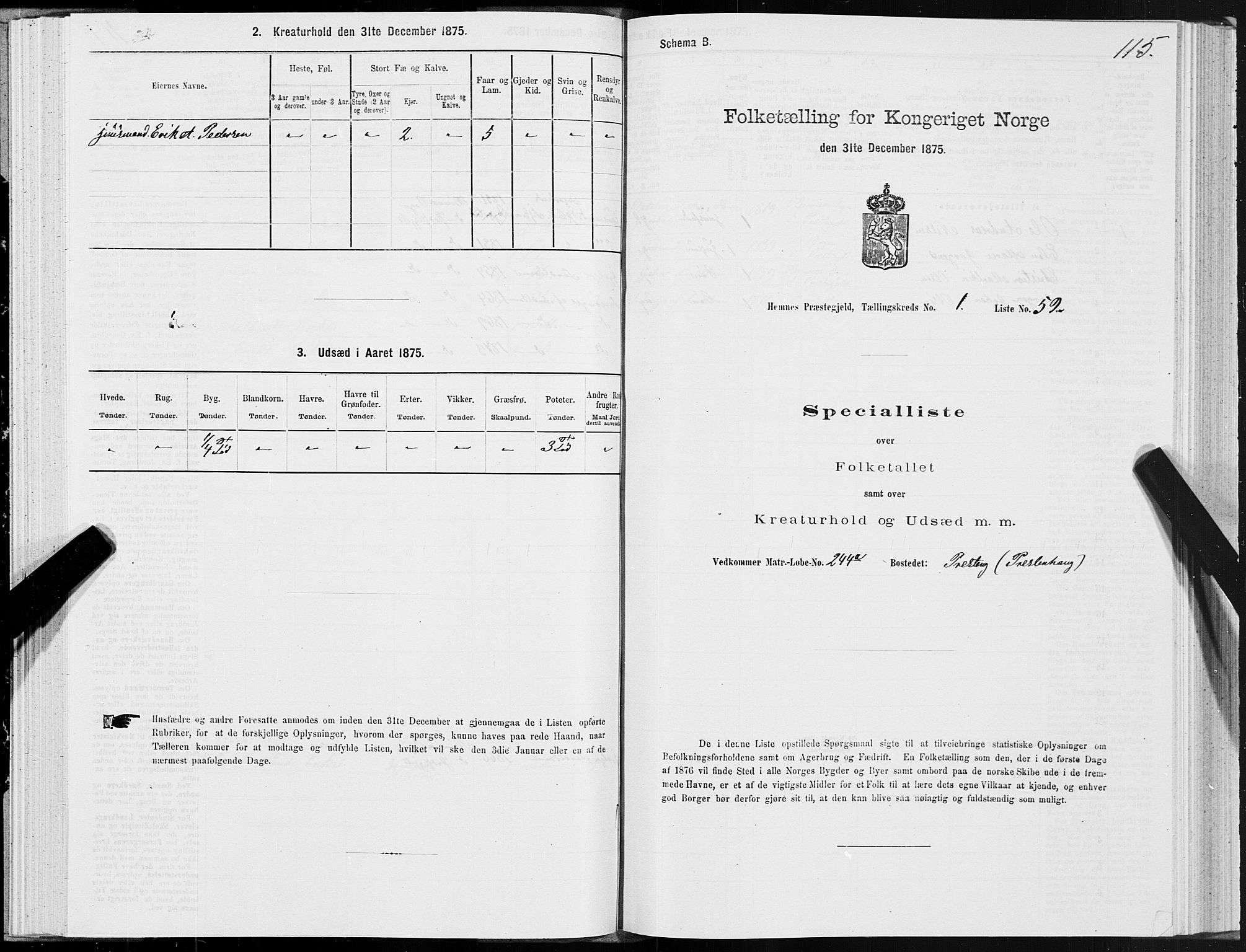 SAT, 1875 census for 1832P Hemnes, 1875, p. 1115