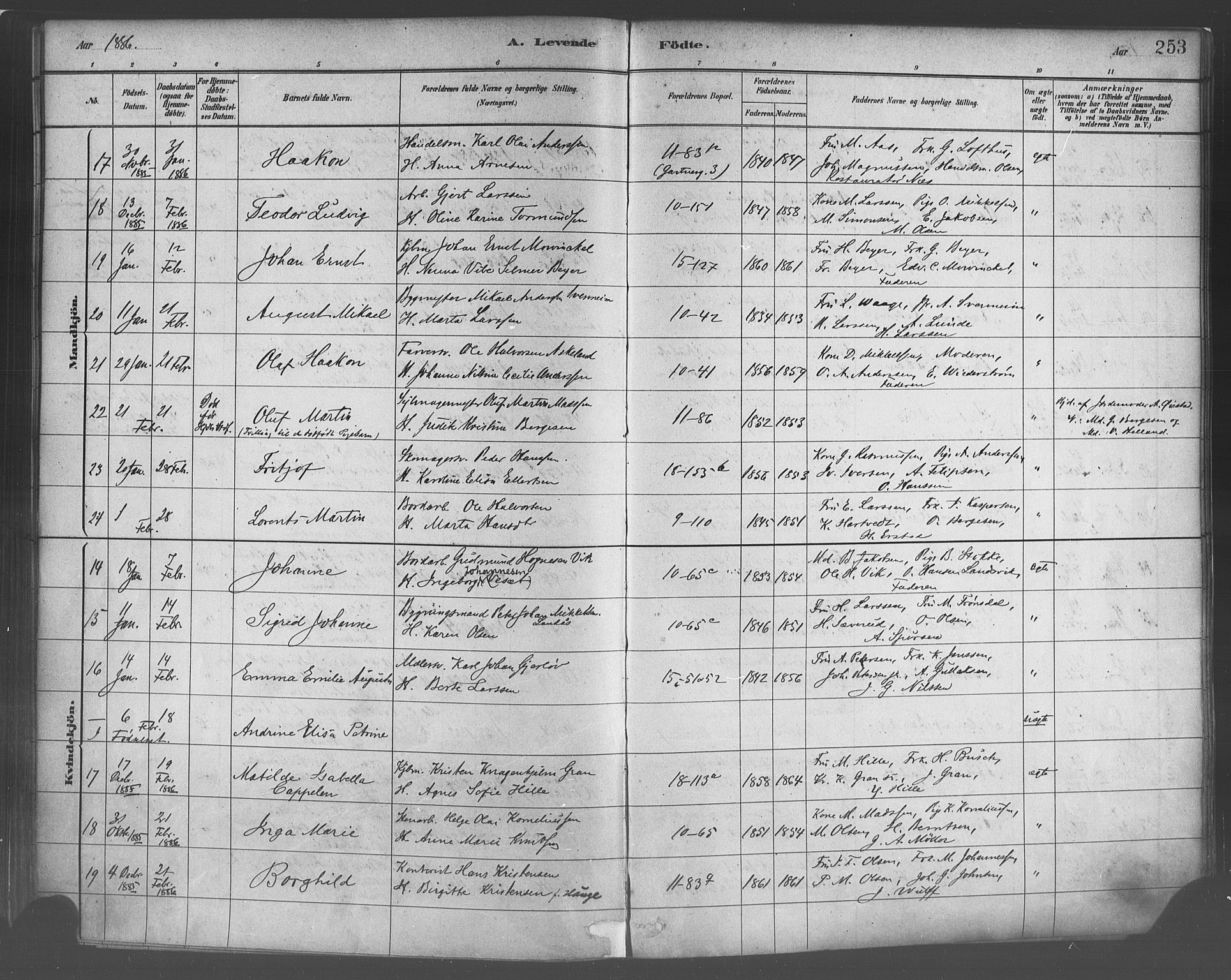 Domkirken sokneprestembete, SAB/A-74801/H/Haa/L0023: Parish register (official) no. B 6, 1879-1887, p. 253