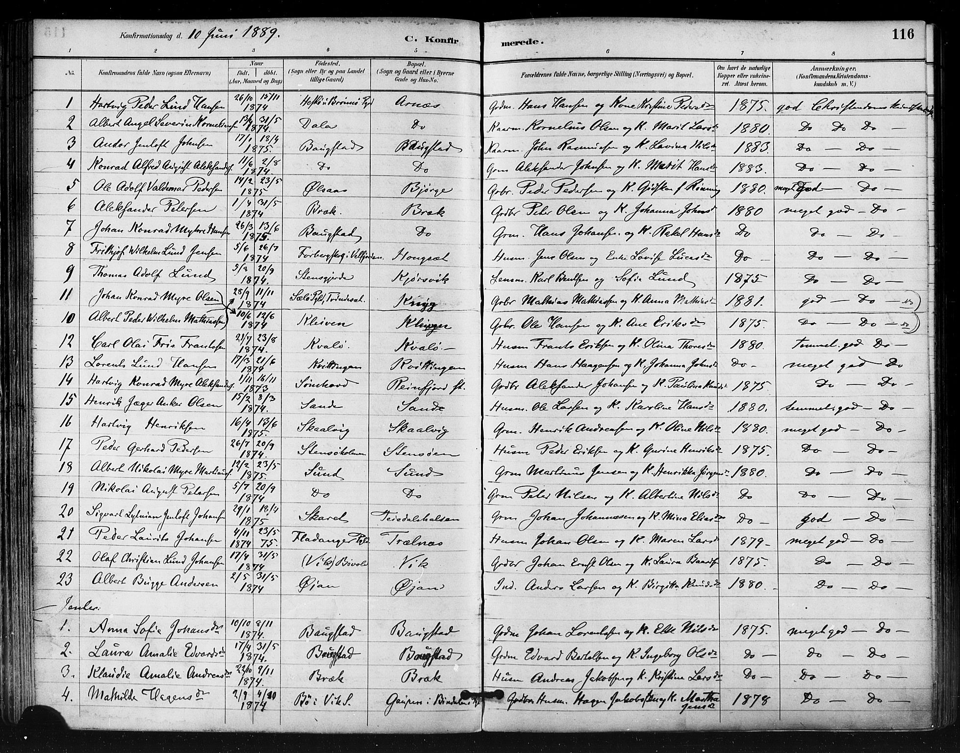 Ministerialprotokoller, klokkerbøker og fødselsregistre - Nordland, SAT/A-1459/812/L0178: Parish register (official) no. 812A07, 1886-1900, p. 116