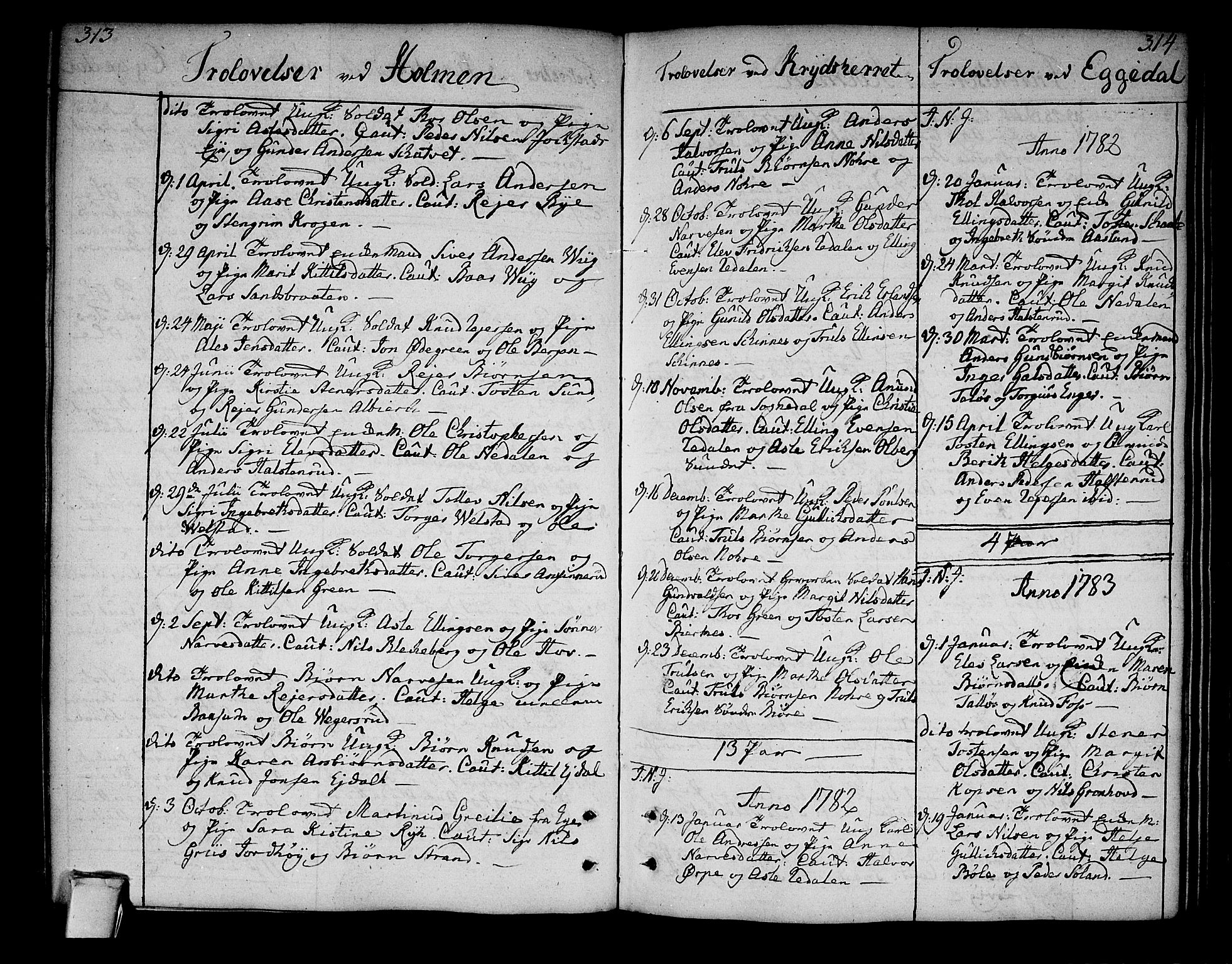 Sigdal kirkebøker, AV/SAKO-A-245/F/Fa/L0002: Parish register (official) no. I 2, 1778-1792, p. 313-314