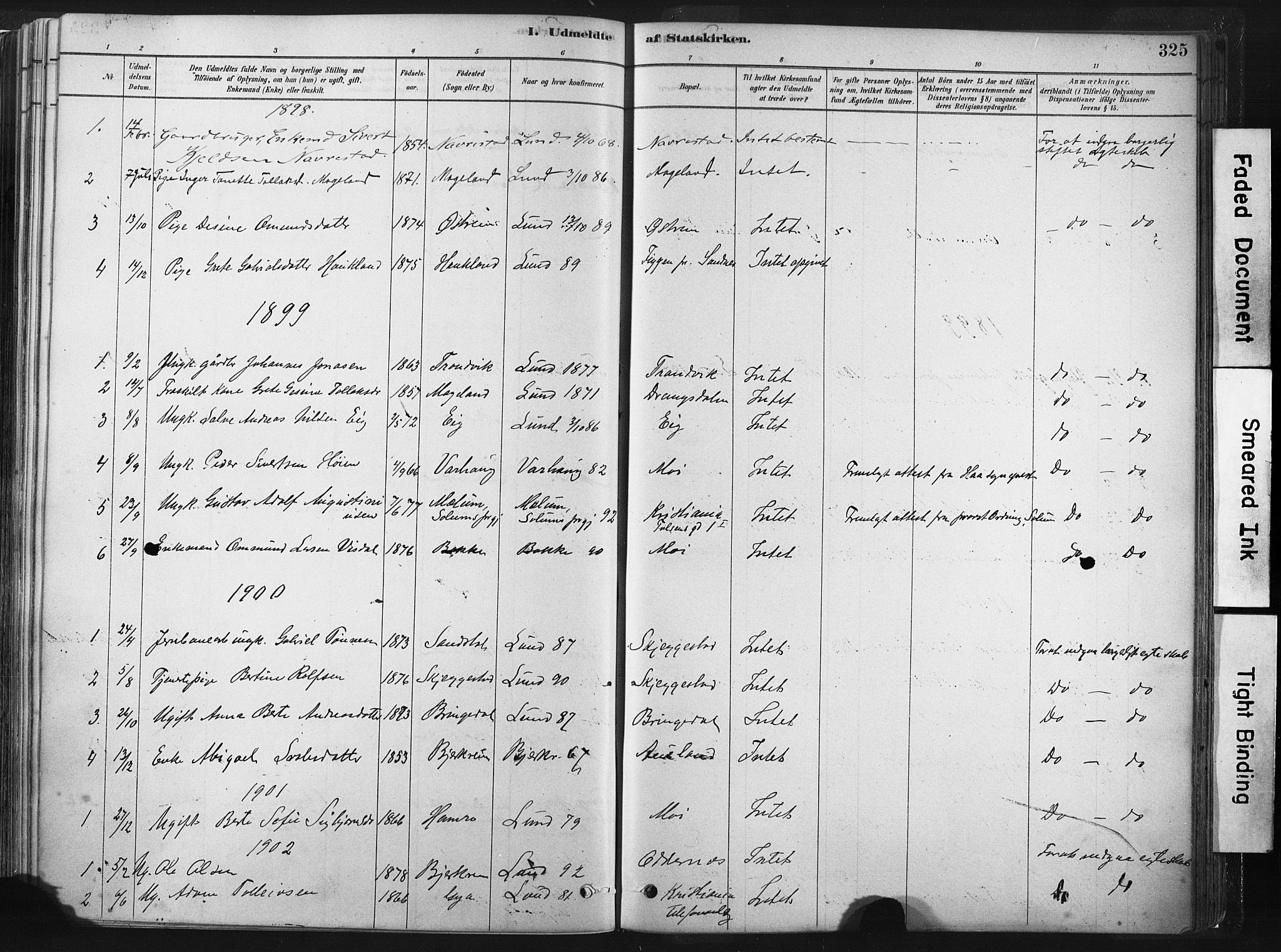 Lund sokneprestkontor, SAST/A-101809/S06/L0011: Parish register (official) no. A 10, 1877-1904, p. 325