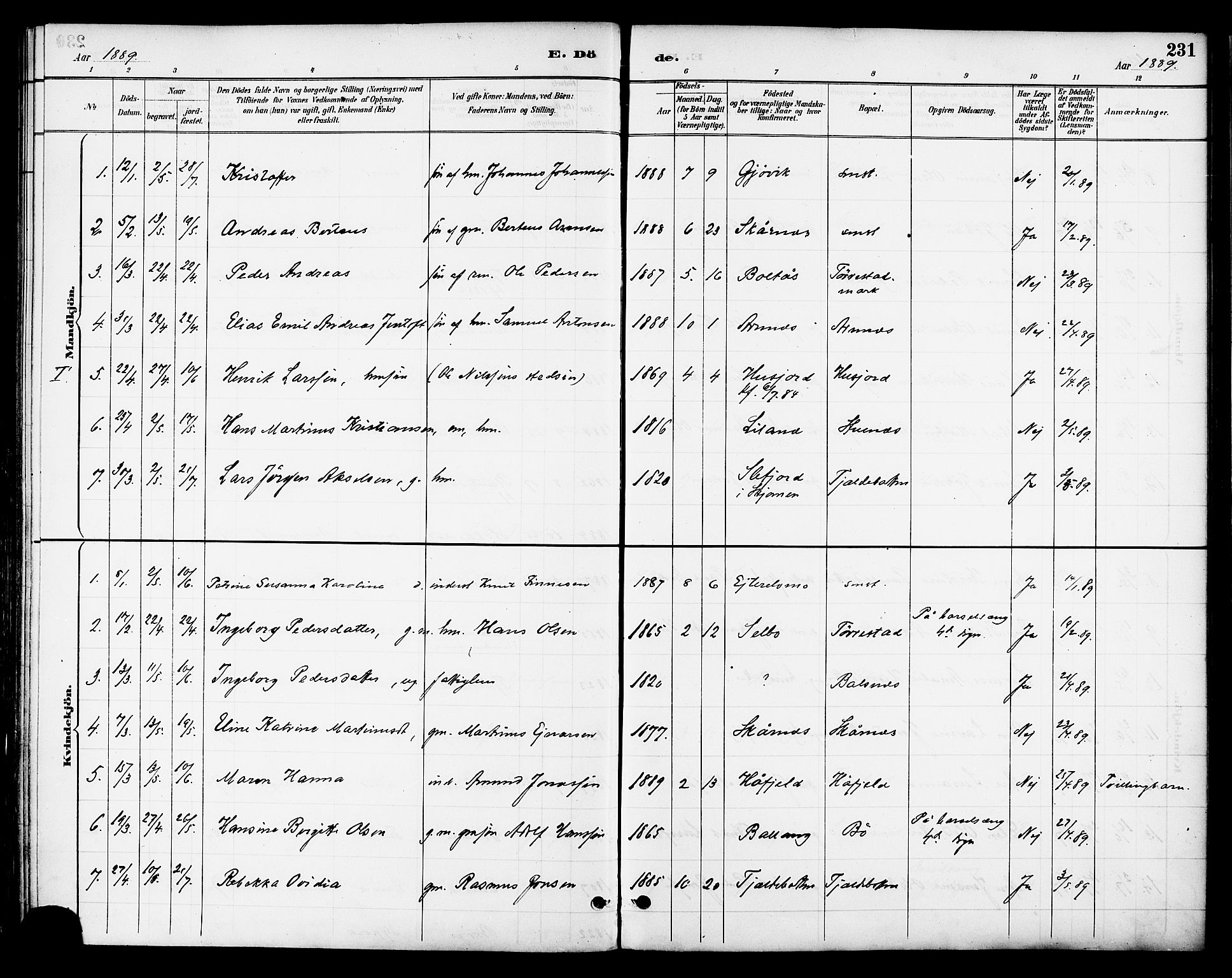 Ministerialprotokoller, klokkerbøker og fødselsregistre - Nordland, AV/SAT-A-1459/863/L0898: Parish register (official) no. 863A10, 1886-1897, p. 231