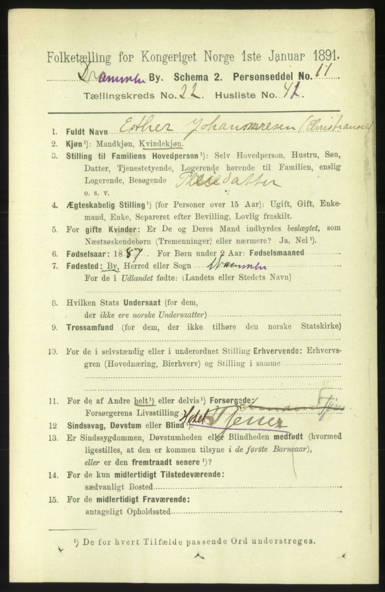 RA, 1891 census for 0602 Drammen, 1891, p. 14050