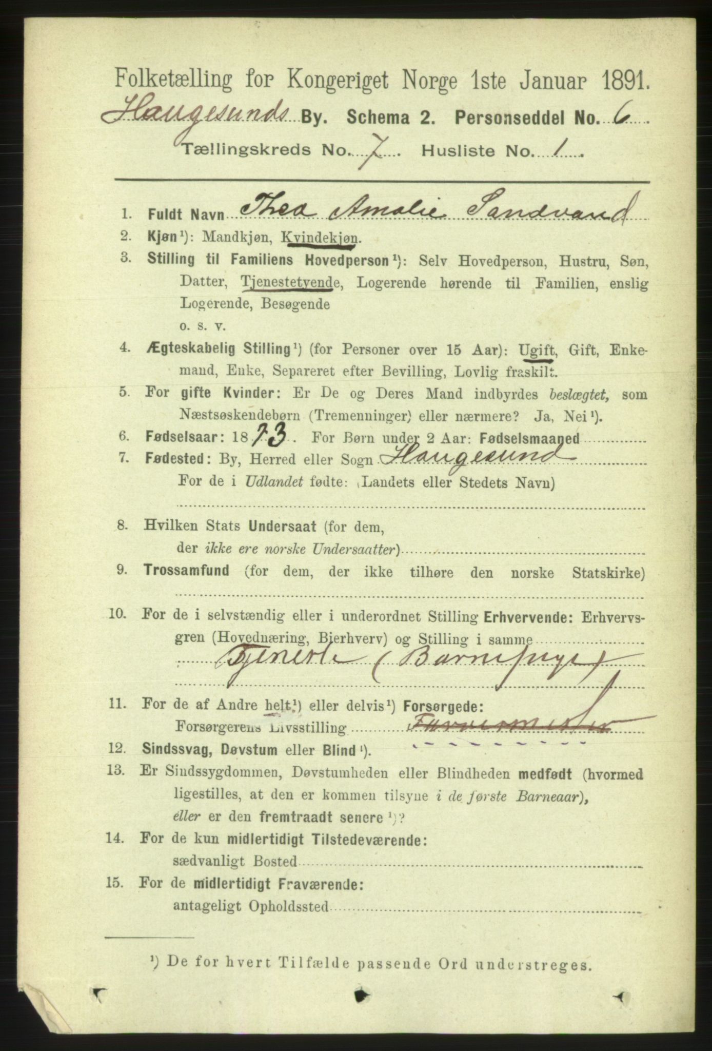 RA, 1891 census for 1106 Haugesund, 1891, p. 3081