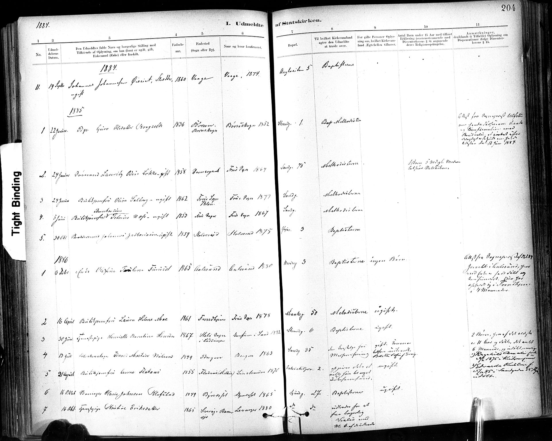 Ministerialprotokoller, klokkerbøker og fødselsregistre - Sør-Trøndelag, SAT/A-1456/602/L0120: Parish register (official) no. 602A18, 1880-1913, p. 204