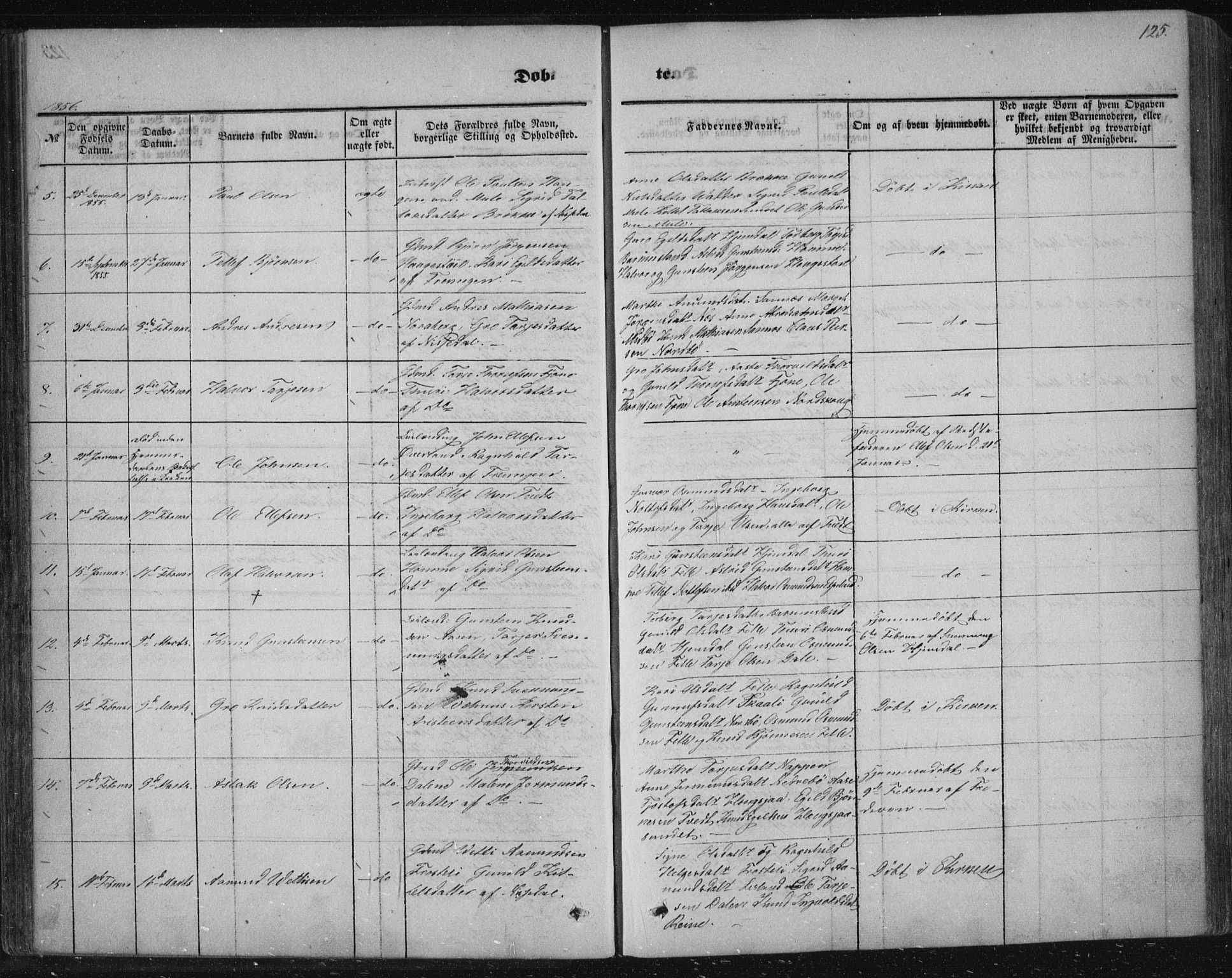 Nissedal kirkebøker, AV/SAKO-A-288/F/Fa/L0003: Parish register (official) no. I 3, 1846-1870, p. 124-125