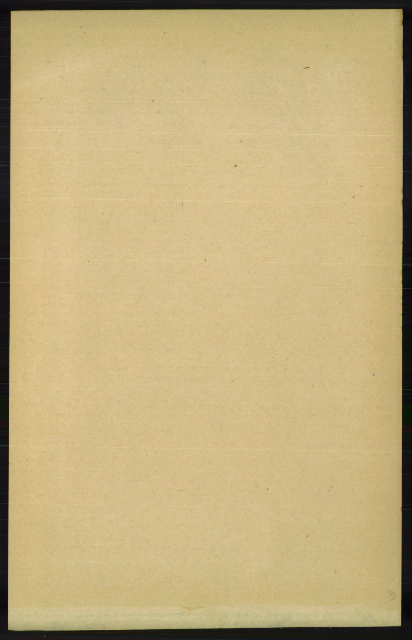 RA, 1891 census for 1024 Bjelland og Grindheim, 1891, p. 312