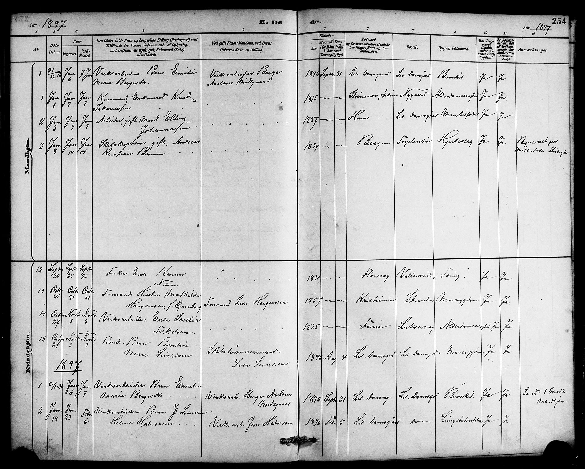 Laksevåg Sokneprestembete, SAB/A-76501/H/Ha/Hab/Haba/L0003: Parish register (copy) no. A 3, 1887-1899, p. 254