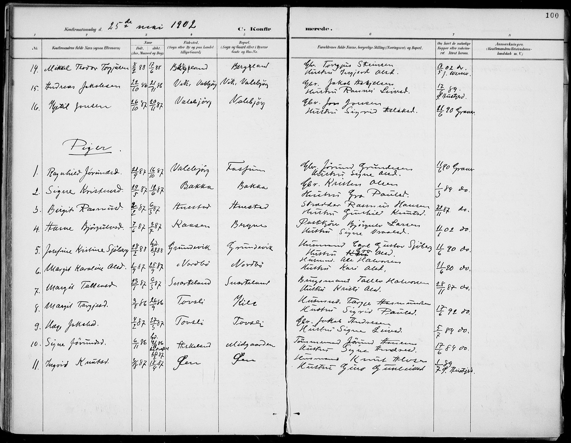 Fyresdal kirkebøker, SAKO/A-263/F/Fa/L0007: Parish register (official) no. I 7, 1887-1914, p. 100