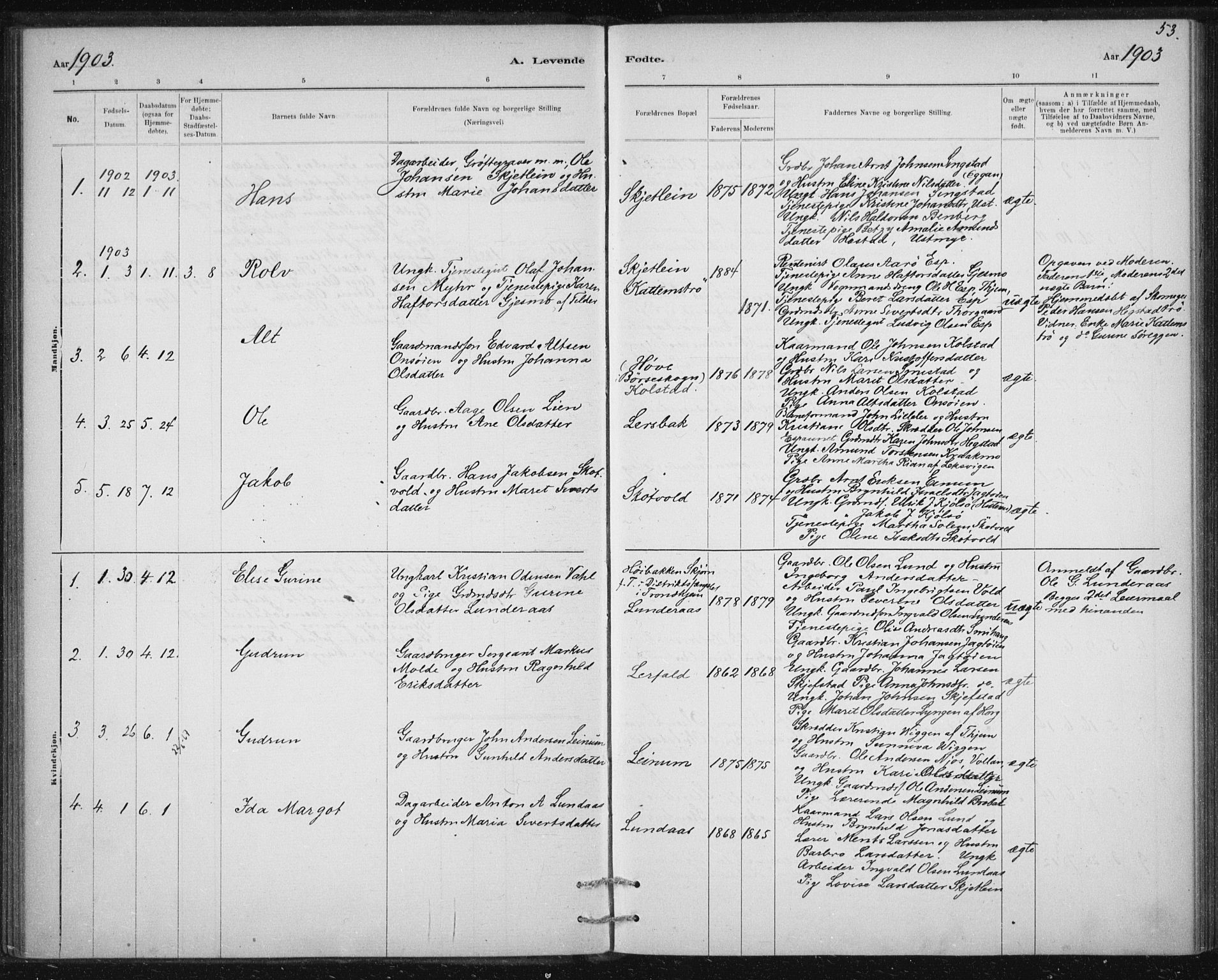 Ministerialprotokoller, klokkerbøker og fødselsregistre - Sør-Trøndelag, AV/SAT-A-1456/613/L0392: Parish register (official) no. 613A01, 1887-1906, p. 53