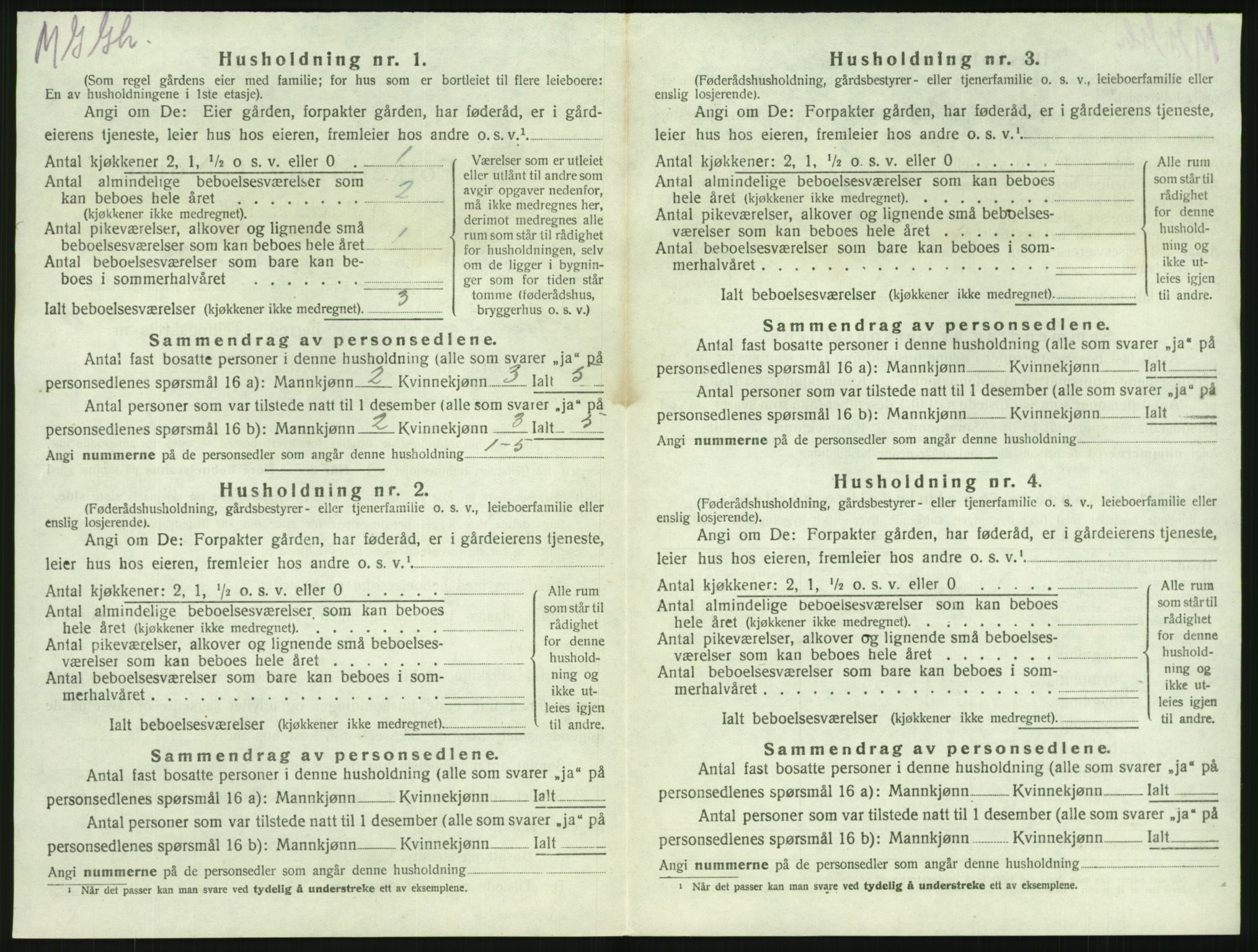 SAKO, 1920 census for Brunlanes, 1920, p. 1228