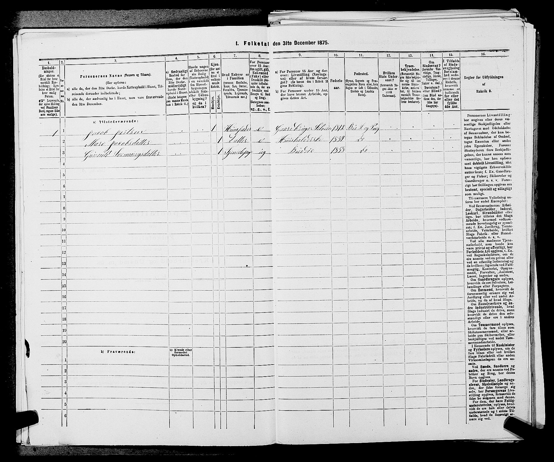 SAKO, 1875 census for 0821P Bø, 1875, p. 613