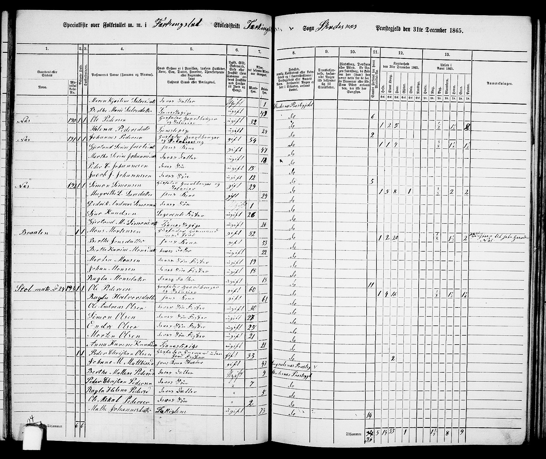 RA, 1865 census for Skudenes, 1865, p. 102