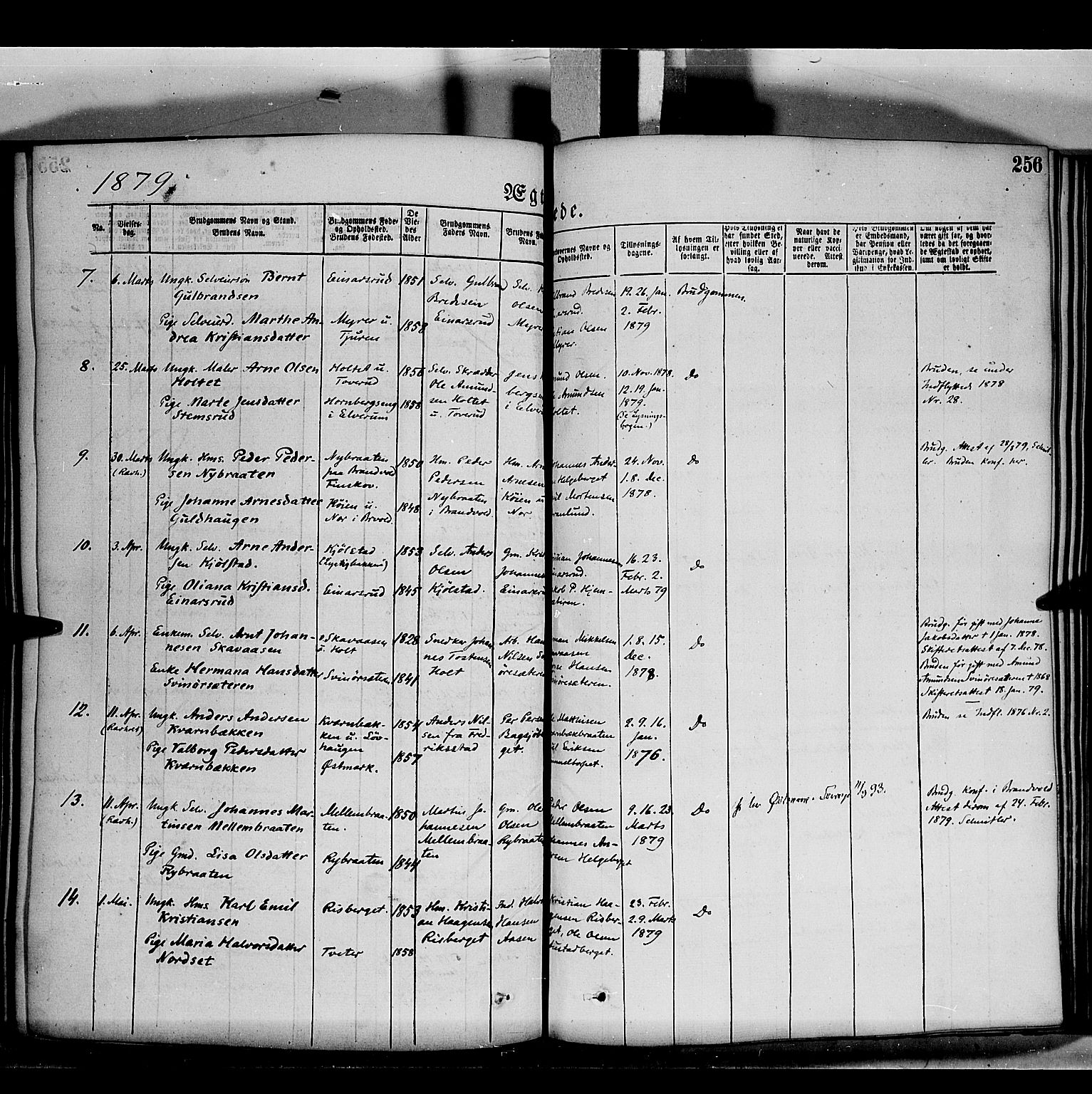 Grue prestekontor, AV/SAH-PREST-036/H/Ha/Haa/L0011: Parish register (official) no. 11, 1873-1880, p. 256