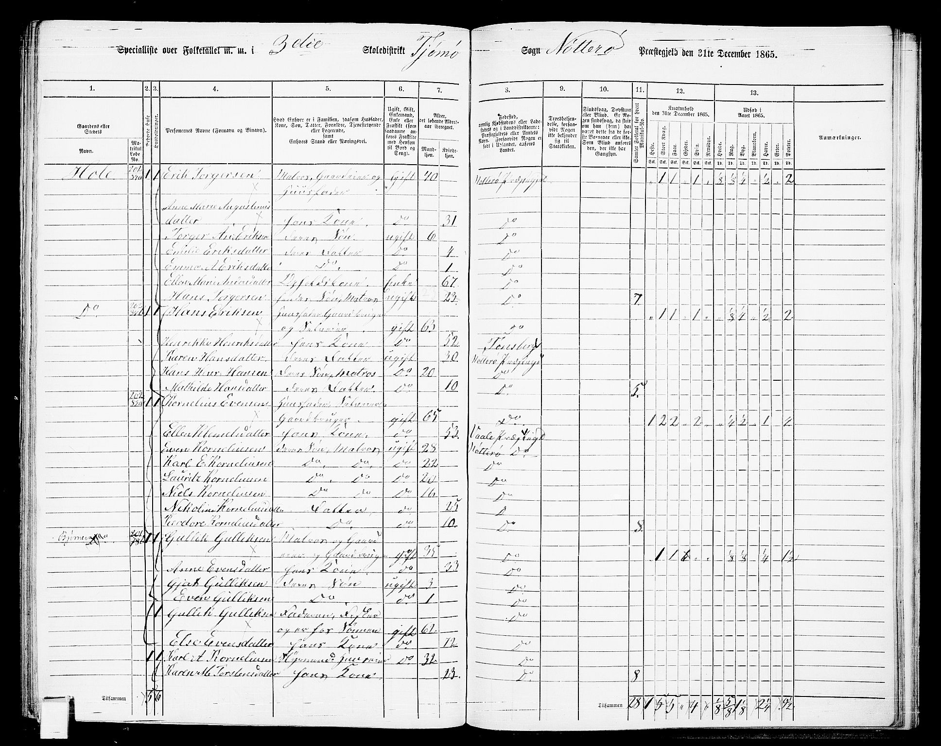 RA, 1865 census for Nøtterøy, 1865, p. 272