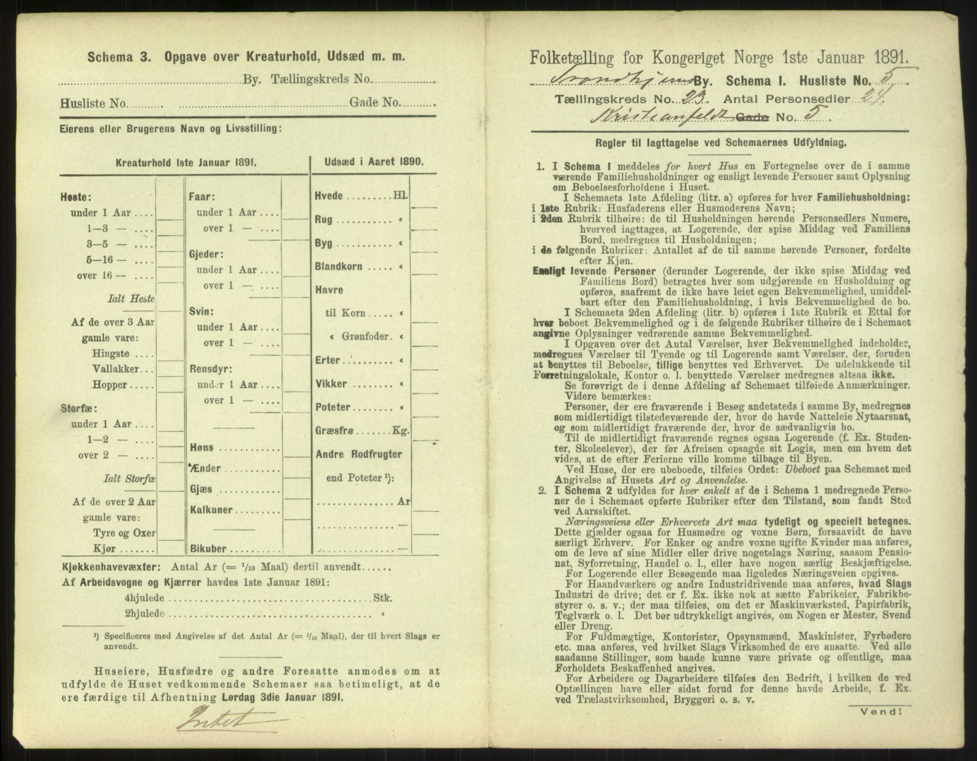 RA, 1891 census for 1601 Trondheim, 1891, p. 1396