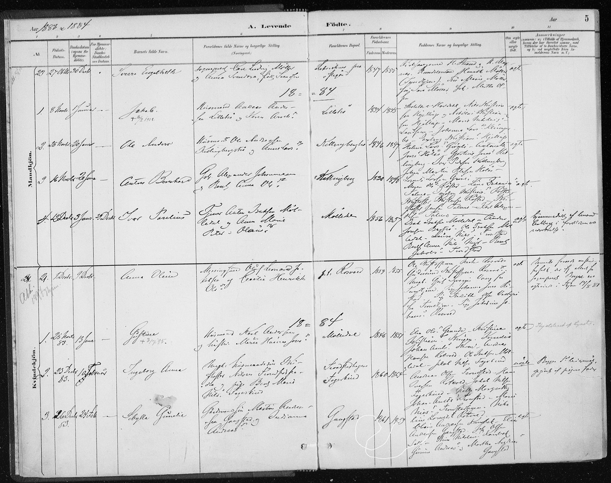 Ministerialprotokoller, klokkerbøker og fødselsregistre - Nord-Trøndelag, SAT/A-1458/701/L0010: Parish register (official) no. 701A10, 1883-1899, p. 5