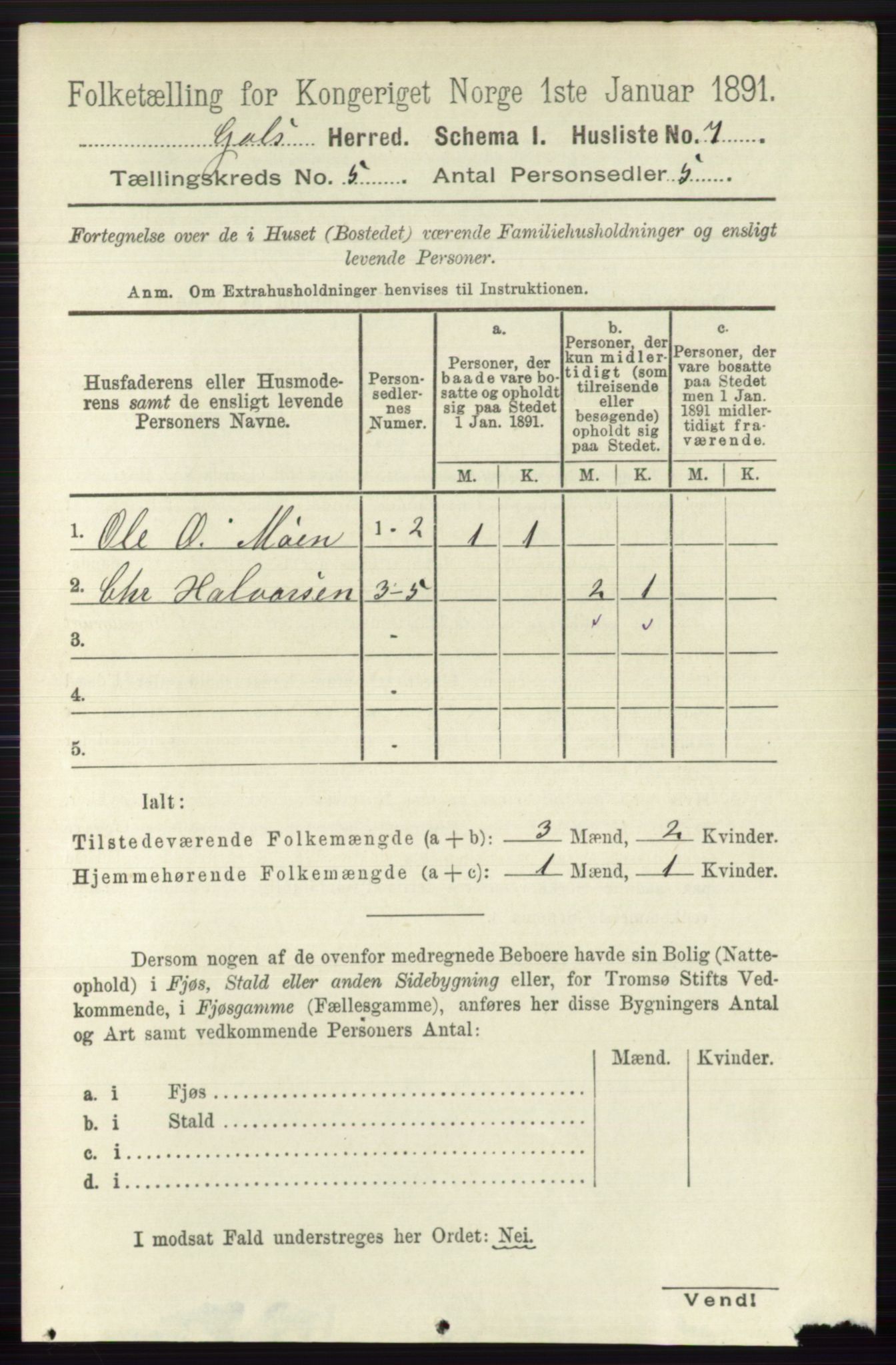 RA, 1891 census for 0617 Gol og Hemsedal, 1891, p. 2302