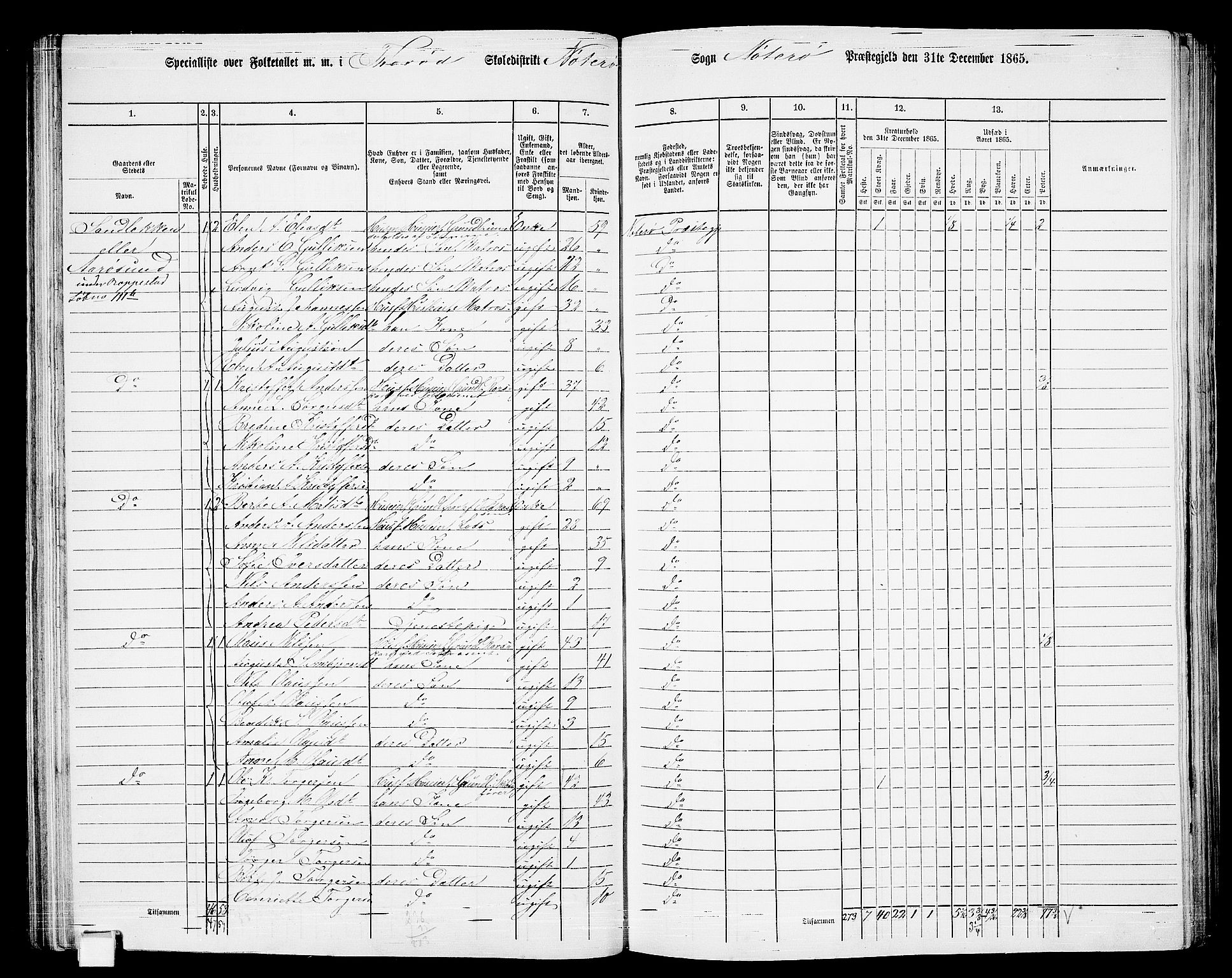 RA, 1865 census for Nøtterøy, 1865, p. 100