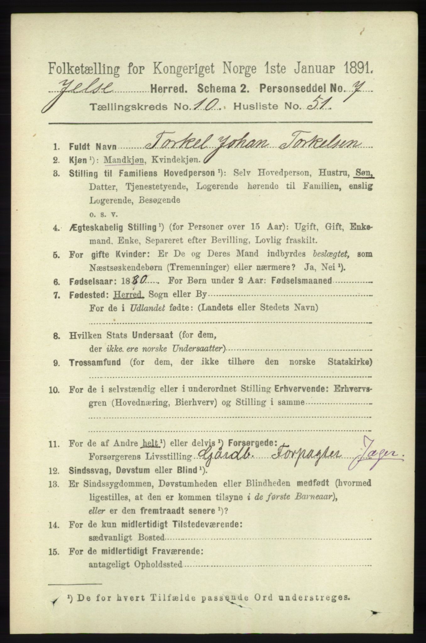 RA, 1891 census for 1138 Jelsa, 1891, p. 2733