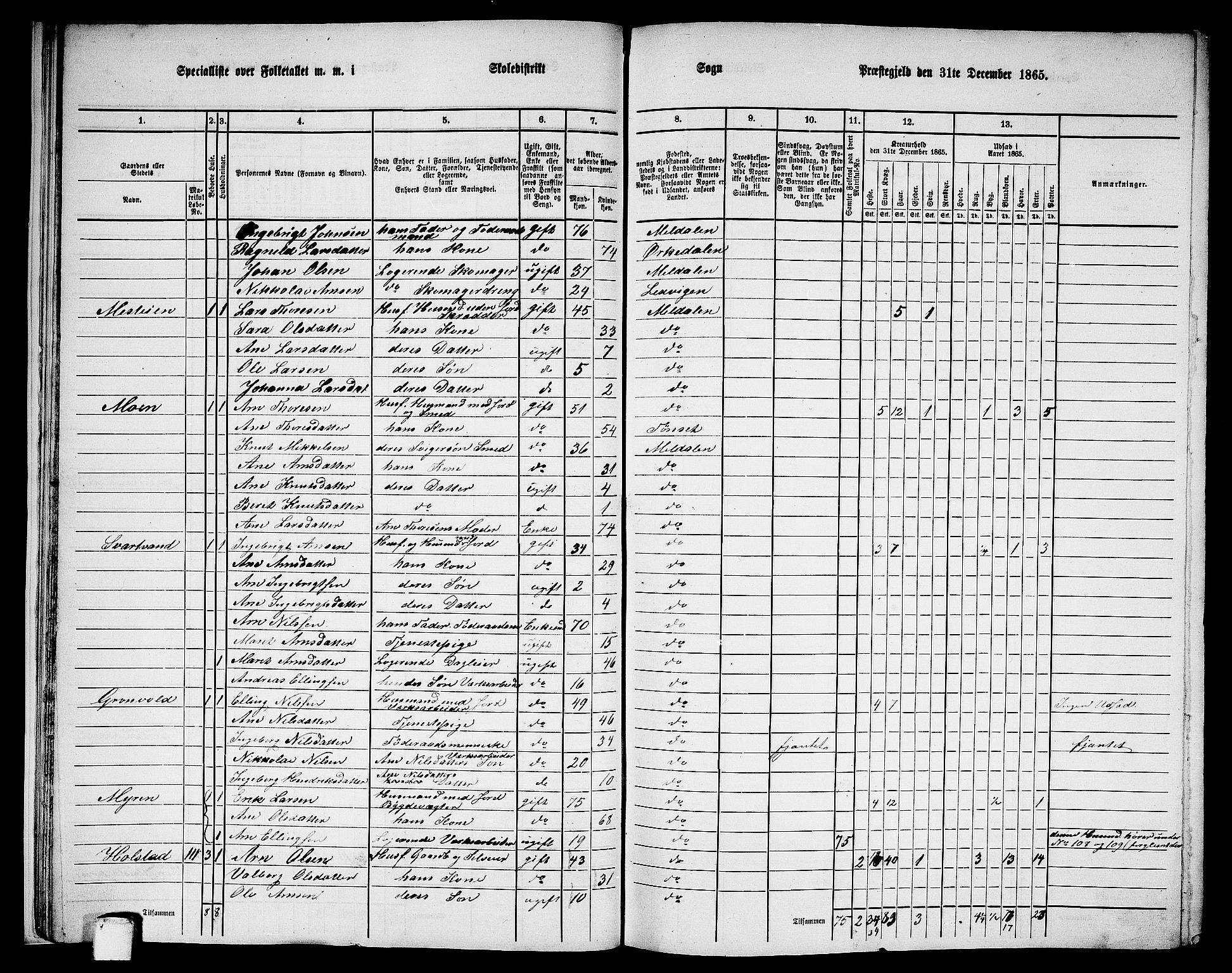 RA, 1865 census for Meldal, 1865, p. 21