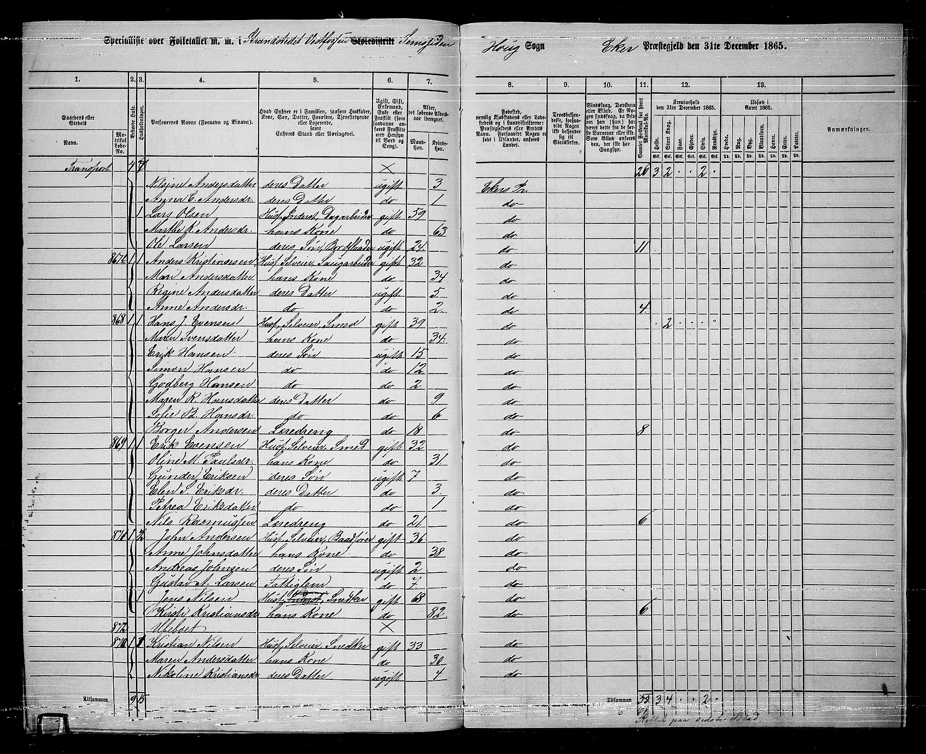 RA, 1865 census for Eiker, 1865, p. 255