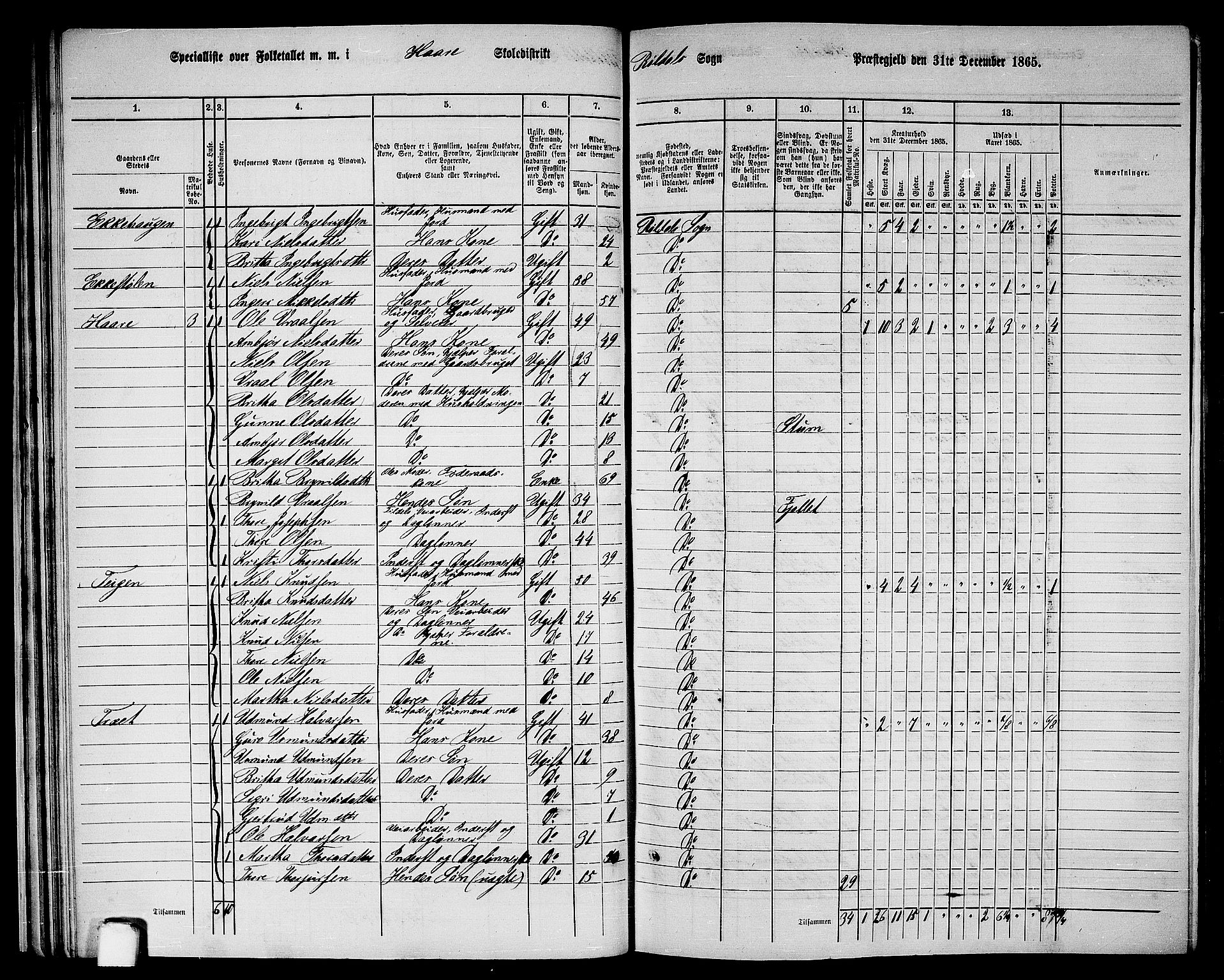 RA, 1865 census for Suldal, 1865, p. 161