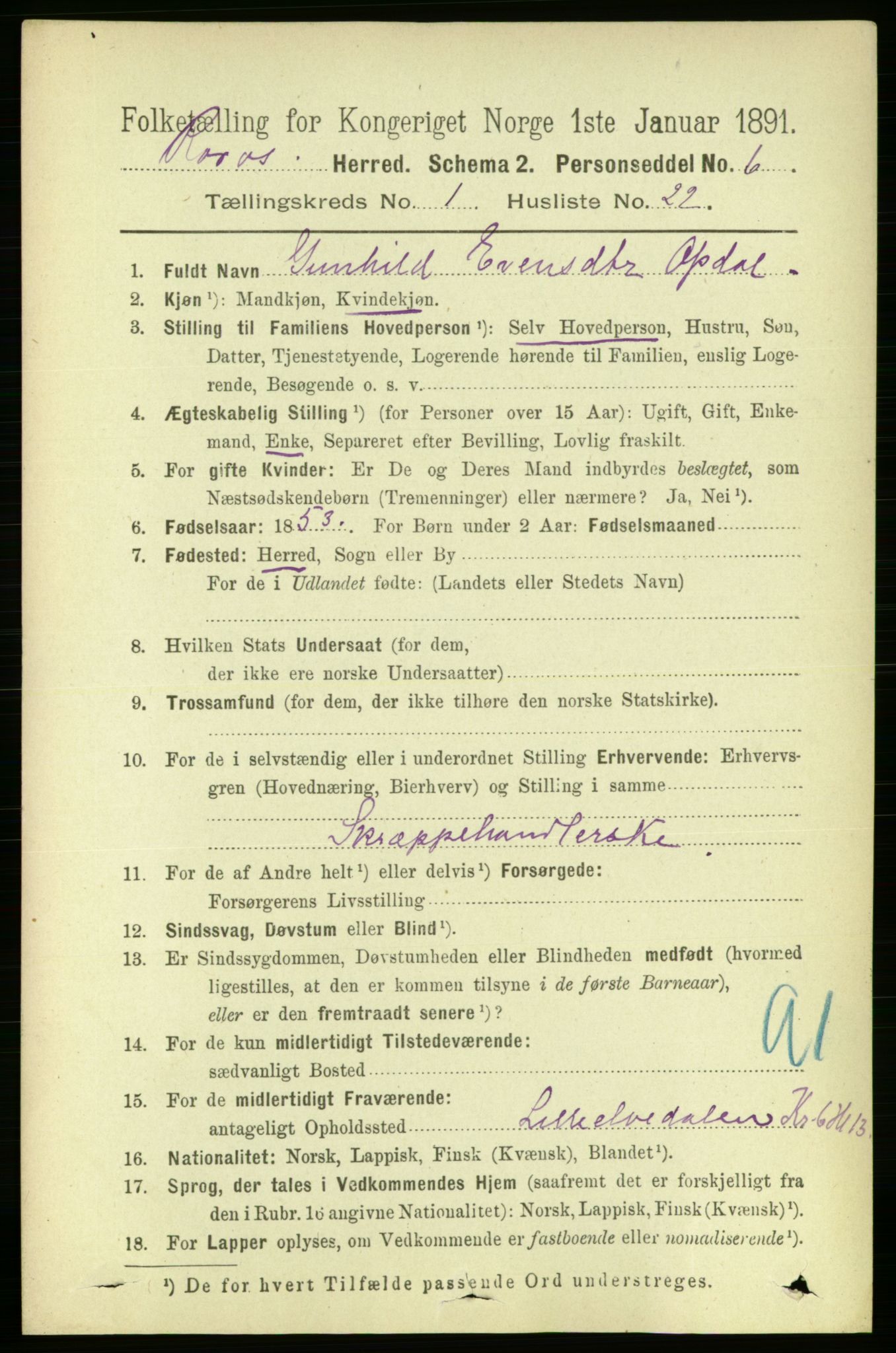 RA, 1891 census for 1640 Røros, 1891, p. 220