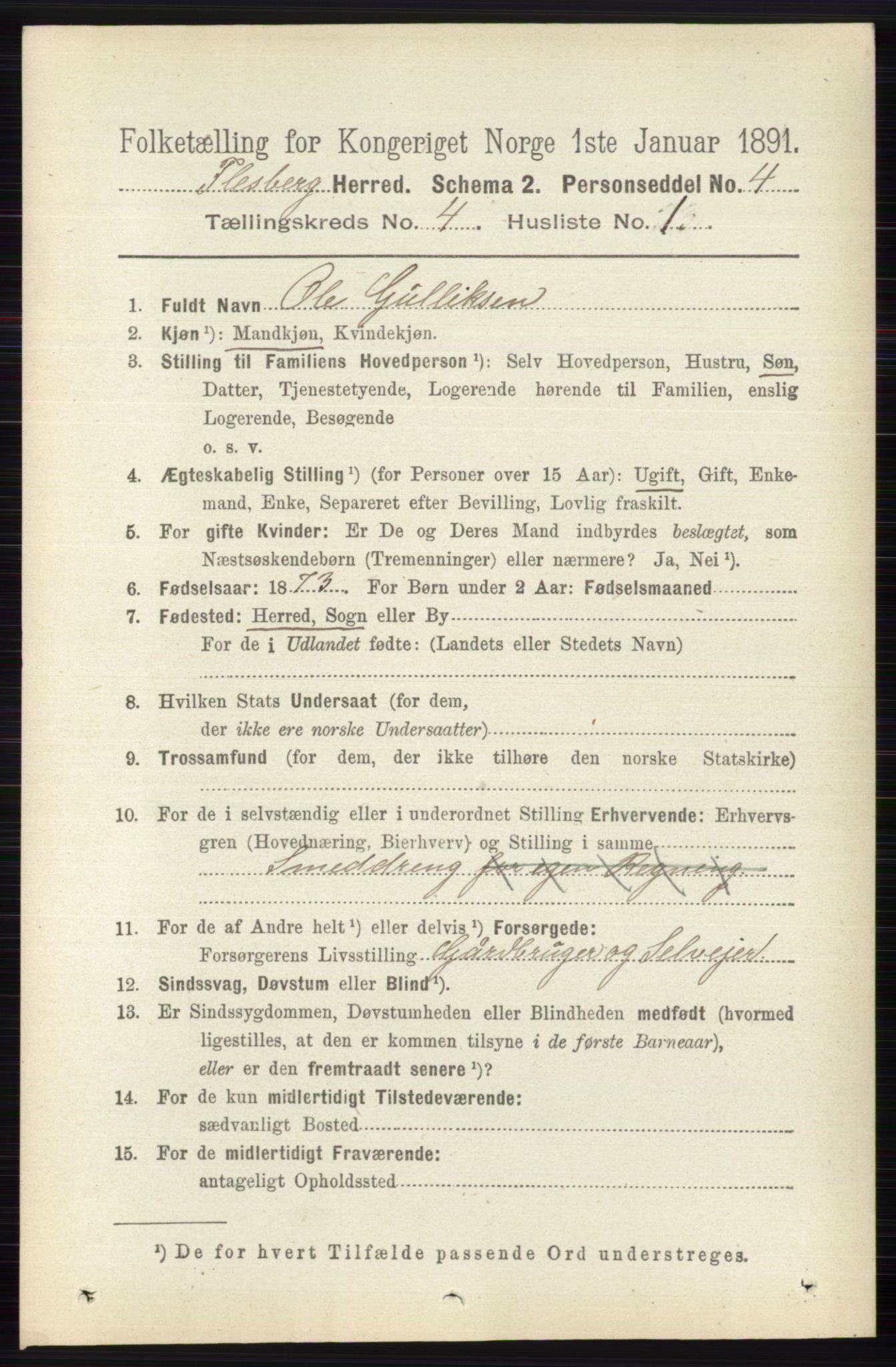 RA, 1891 census for 0631 Flesberg, 1891, p. 523