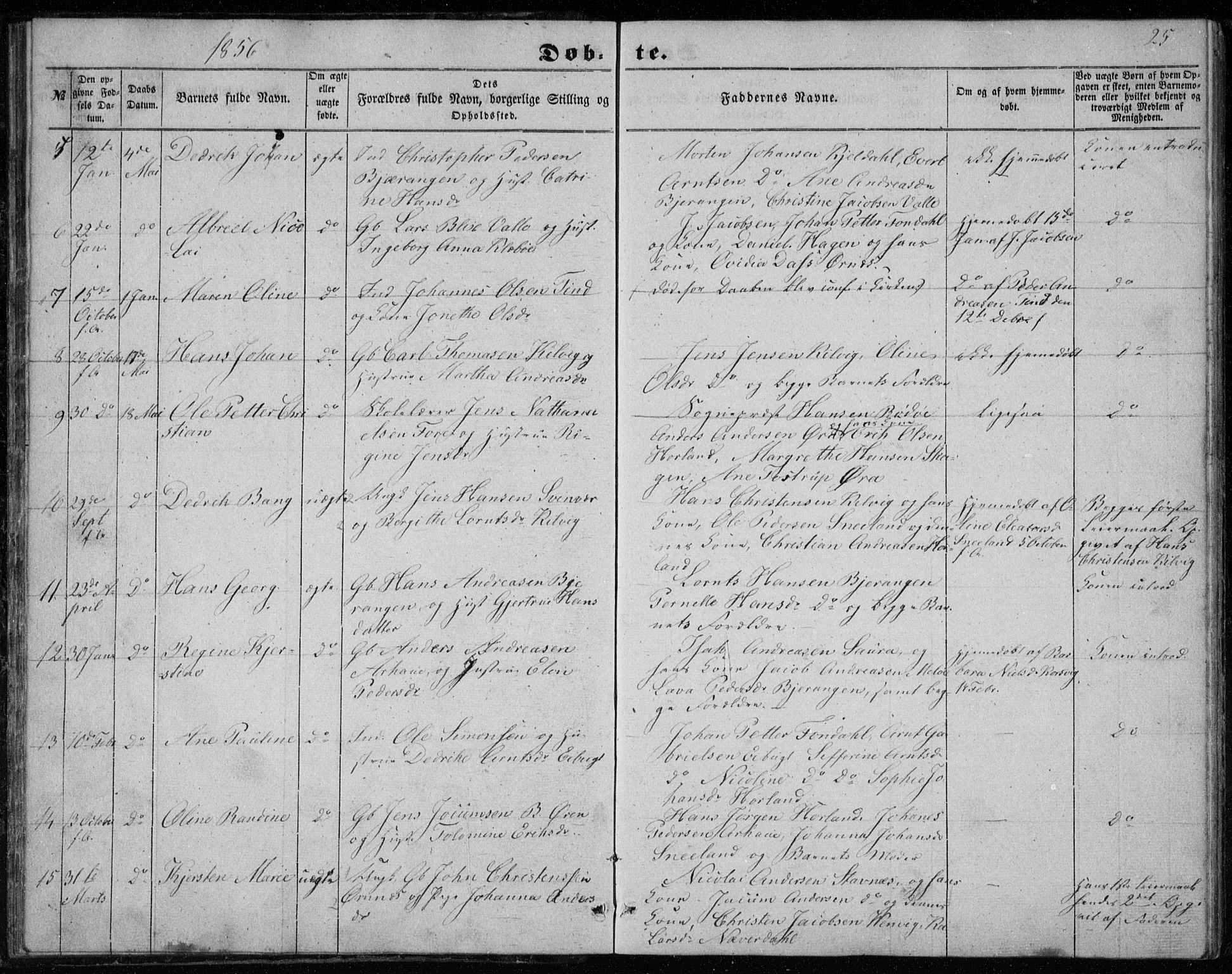 Ministerialprotokoller, klokkerbøker og fødselsregistre - Nordland, SAT/A-1459/843/L0633: Parish register (copy) no. 843C02, 1853-1873, p. 25