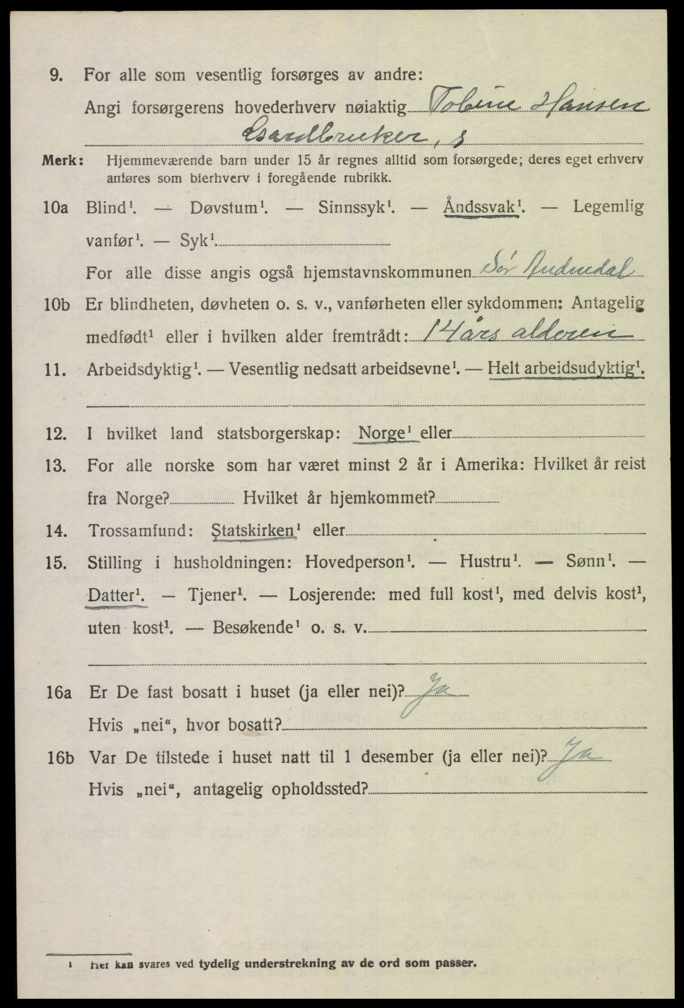 SAK, 1920 census for Sør-Audnedal, 1920, p. 5158