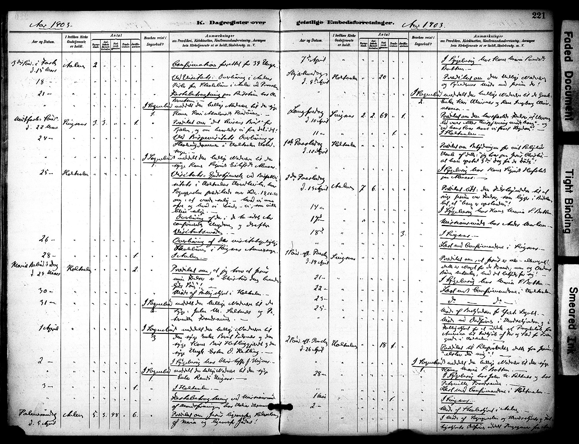 Ministerialprotokoller, klokkerbøker og fødselsregistre - Sør-Trøndelag, AV/SAT-A-1456/686/L0984: Parish register (official) no. 686A02, 1891-1906, p. 221