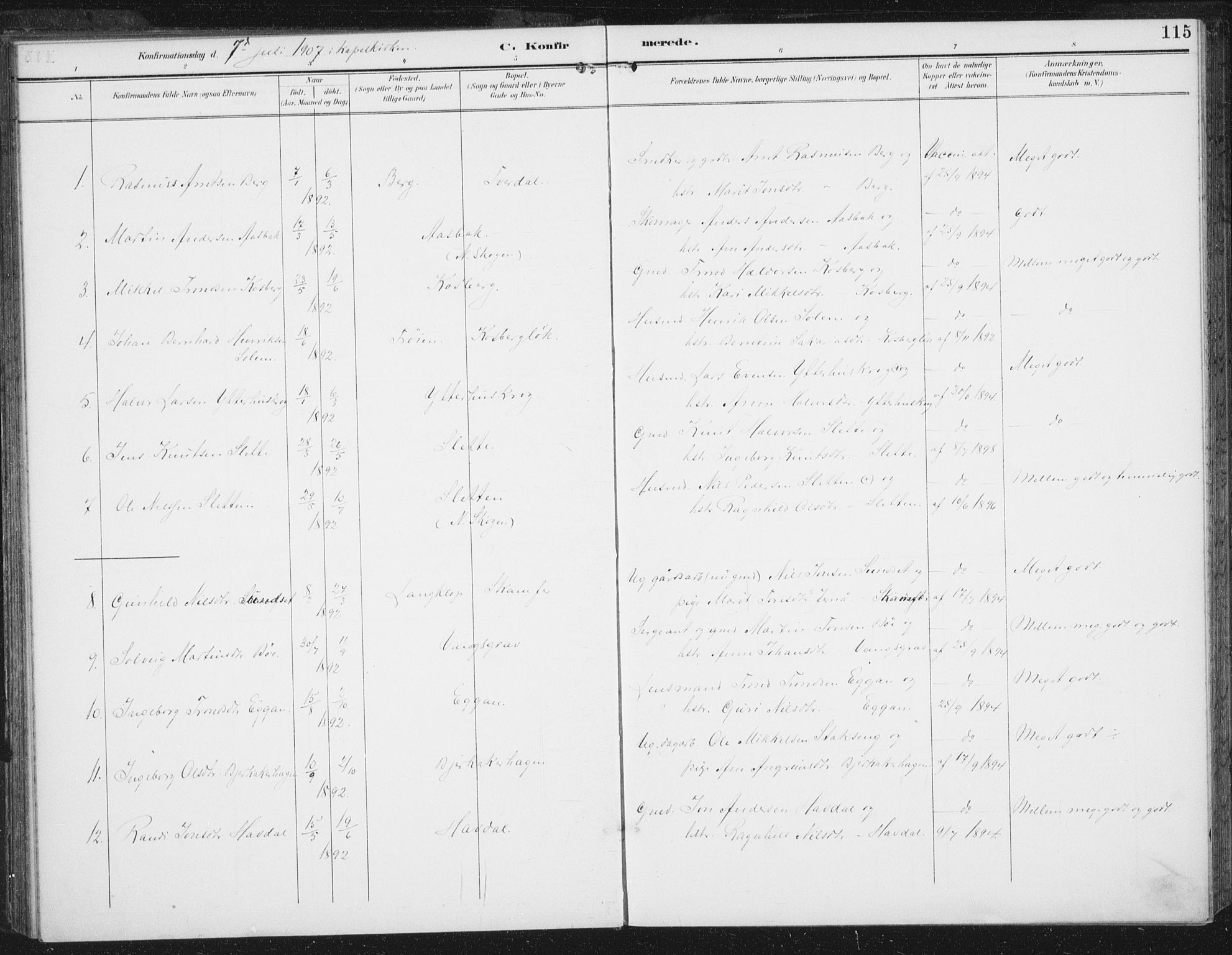 Ministerialprotokoller, klokkerbøker og fødselsregistre - Sør-Trøndelag, SAT/A-1456/674/L0872: Parish register (official) no. 674A04, 1897-1907, p. 115