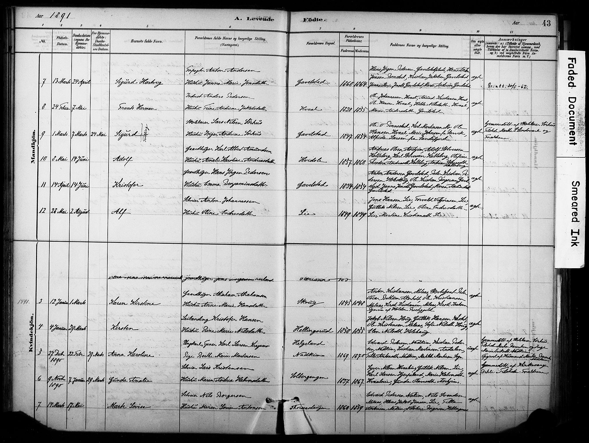 Lardal kirkebøker, AV/SAKO-A-350/F/Fb/L0001: Parish register (official) no. II 1, 1881-1911, p. 43