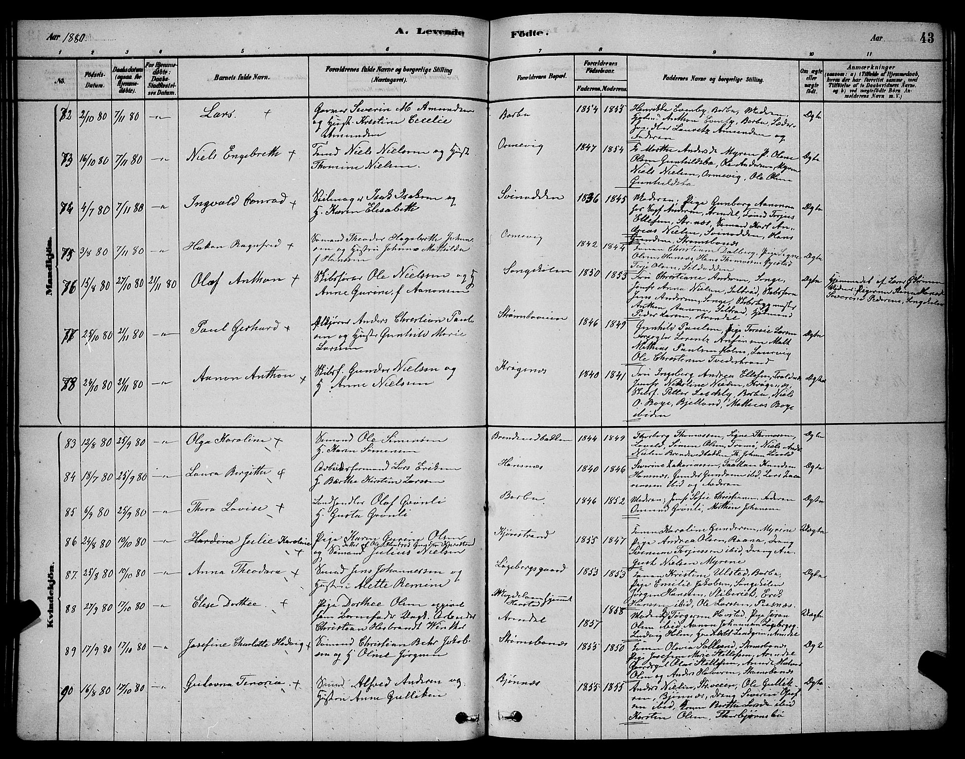 Barbu sokneprestkontor, AV/SAK-1111-0003/F/Fb/L0001: Parish register (copy) no. B 1, 1878-1890, p. 43