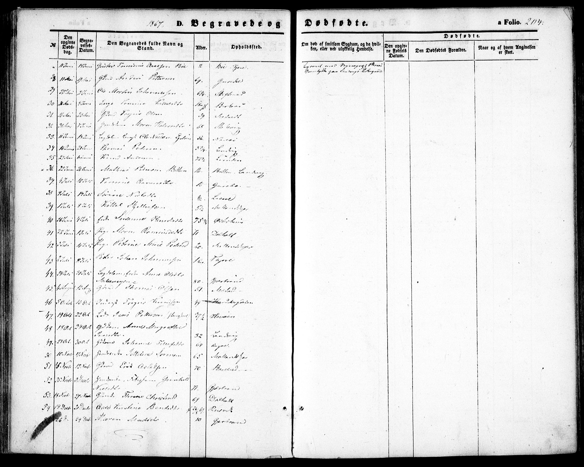 Hommedal sokneprestkontor, AV/SAK-1111-0023/F/Fa/Fab/L0005: Parish register (official) no. A 5, 1861-1877, p. 204