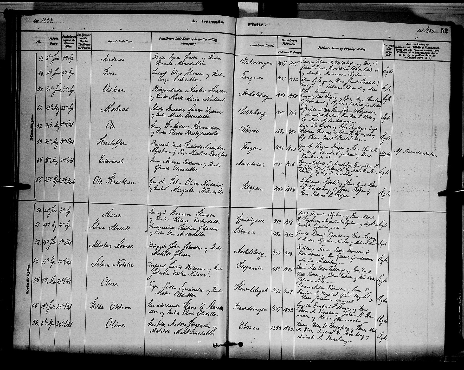 Løten prestekontor, AV/SAH-PREST-022/L/La/L0005: Parish register (copy) no. 5, 1878-1891, p. 52
