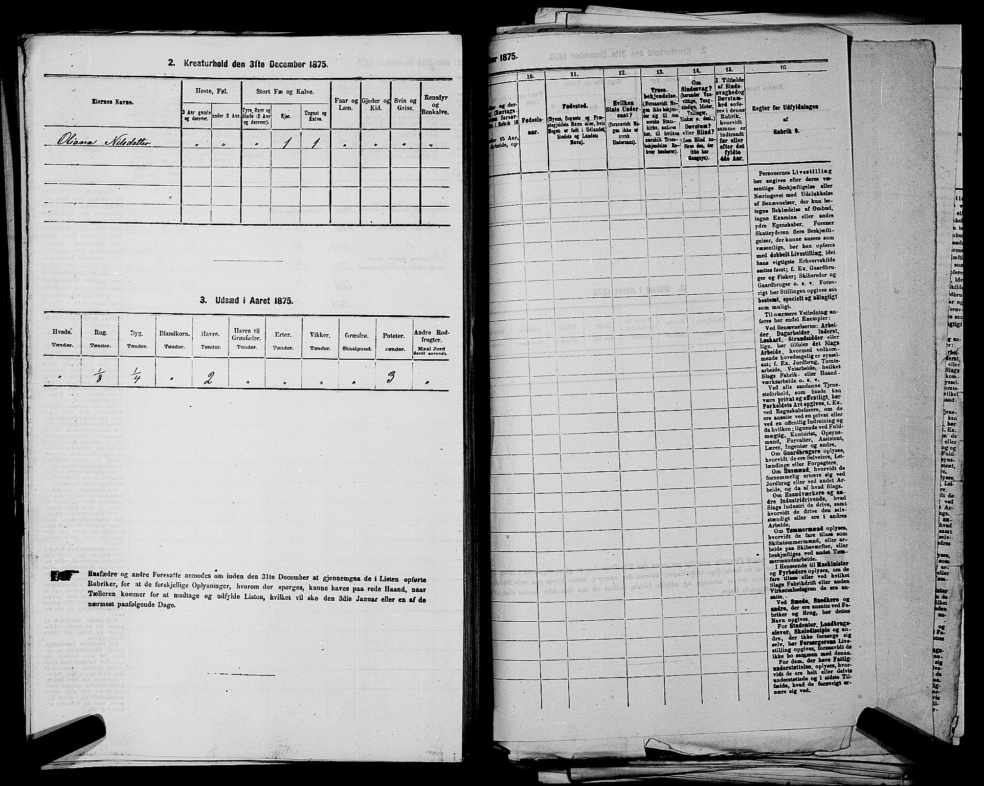 RA, 1875 census for 0120P Rødenes, 1875, p. 185