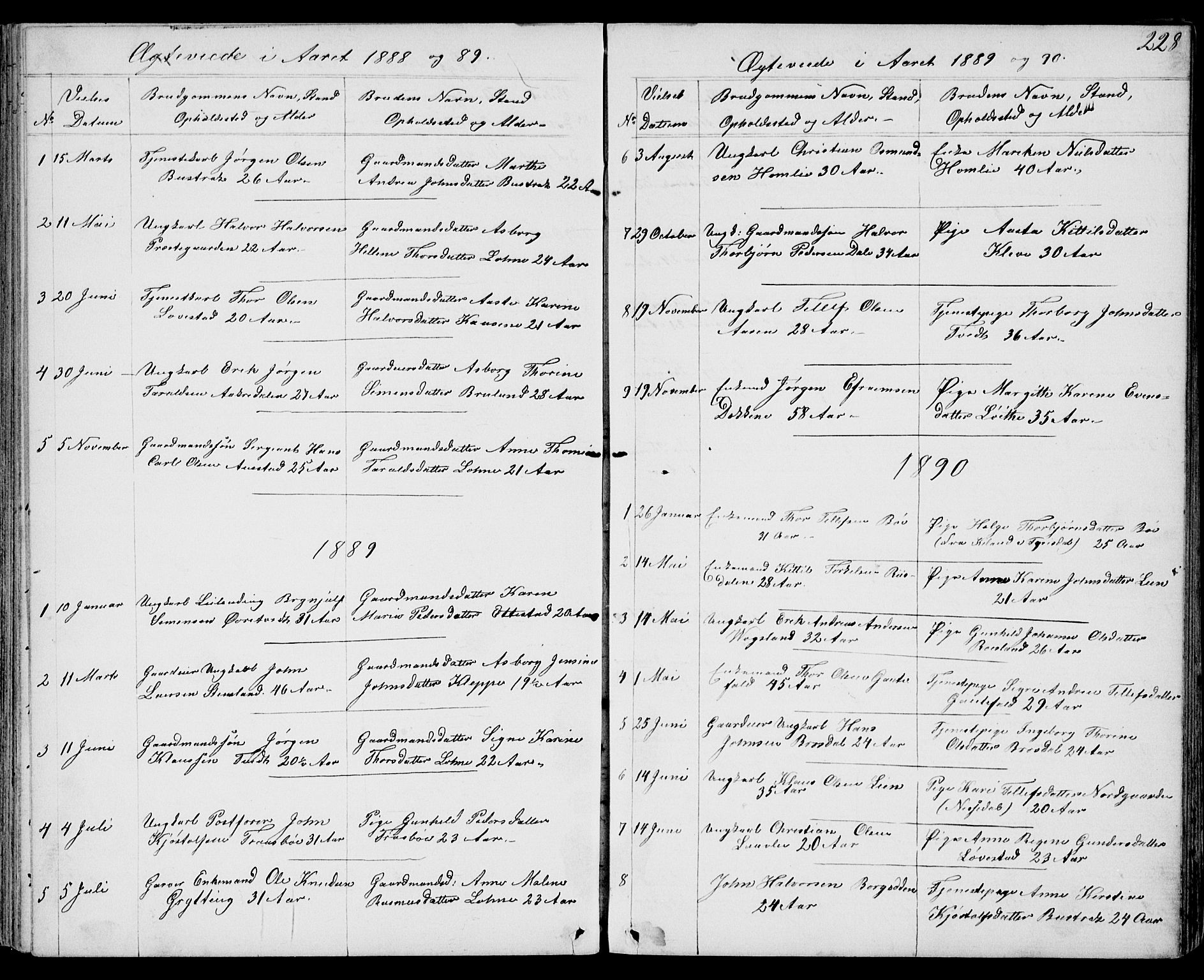 Drangedal kirkebøker, SAKO/A-258/G/Gb/L0001: Parish register (copy) no. II 1, 1856-1894, p. 228