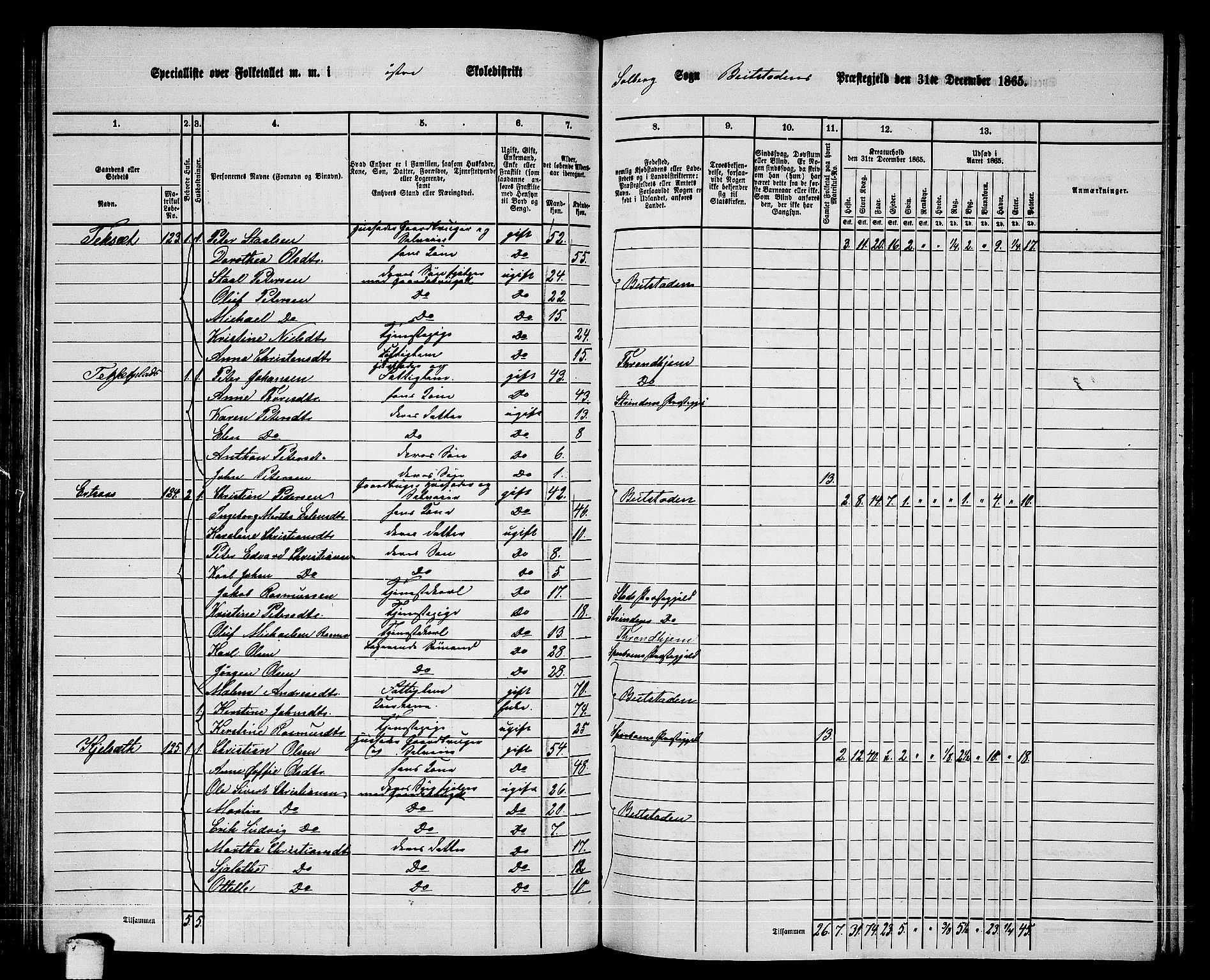 RA, 1865 census for Beitstad, 1865, p. 111