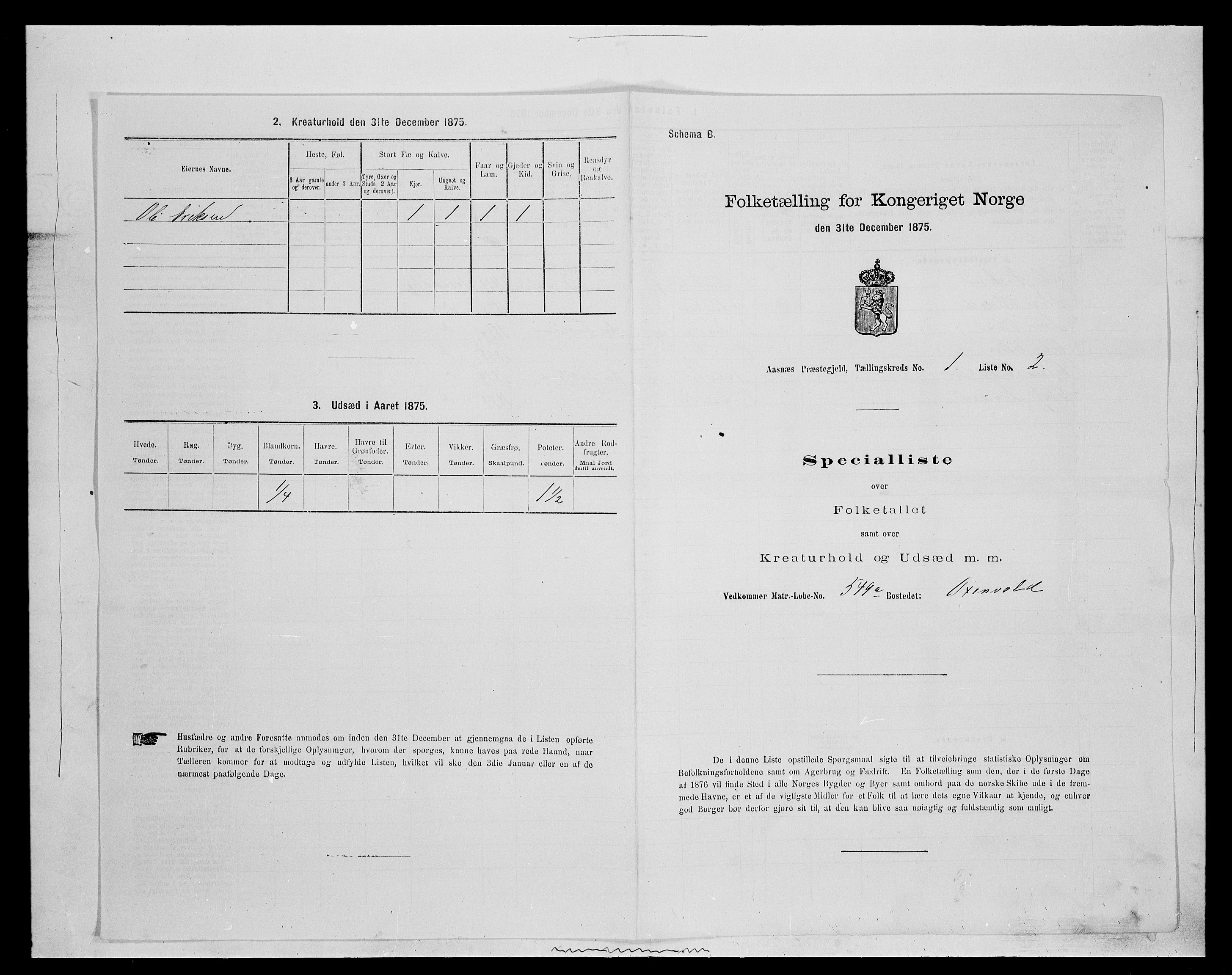 SAH, 1875 census for 0425P Åsnes, 1875, p. 16