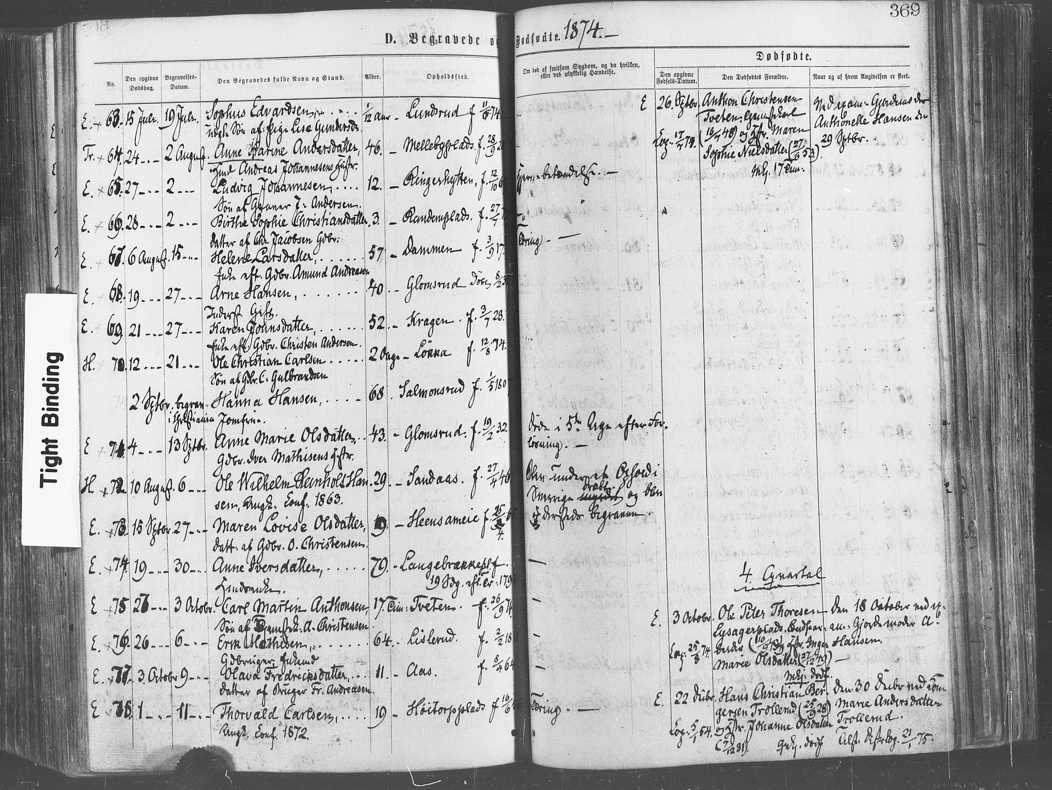 Eidsberg prestekontor Kirkebøker, SAO/A-10905/F/Fa/L0011: Parish register (official) no. I 11, 1867-1878, p. 369