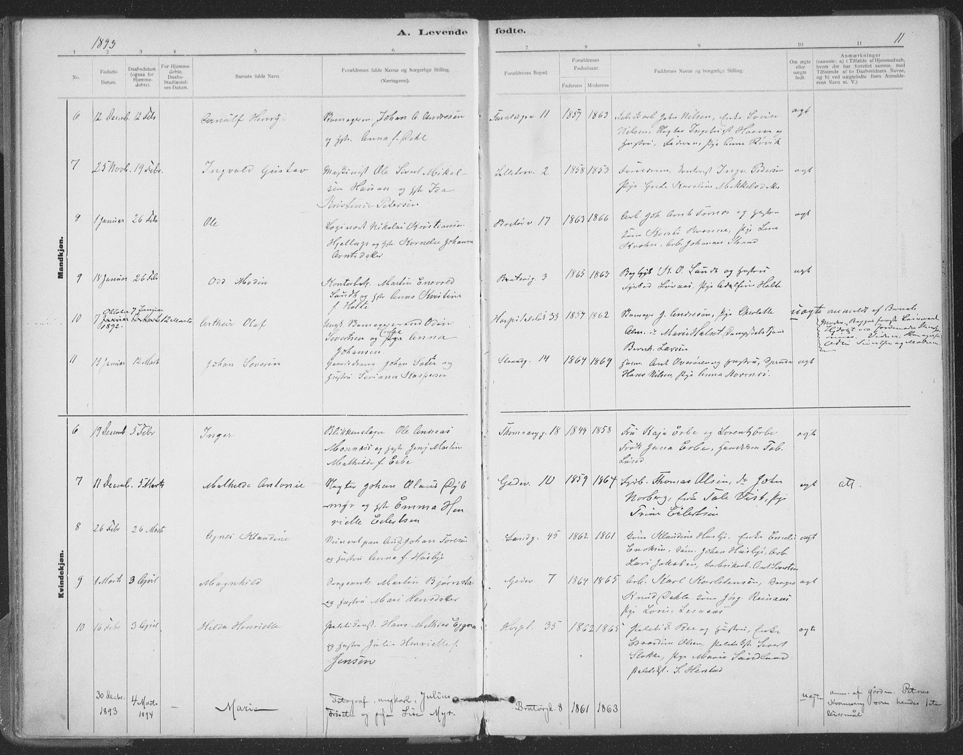Ministerialprotokoller, klokkerbøker og fødselsregistre - Sør-Trøndelag, SAT/A-1456/602/L0122: Parish register (official) no. 602A20, 1892-1908, p. 11