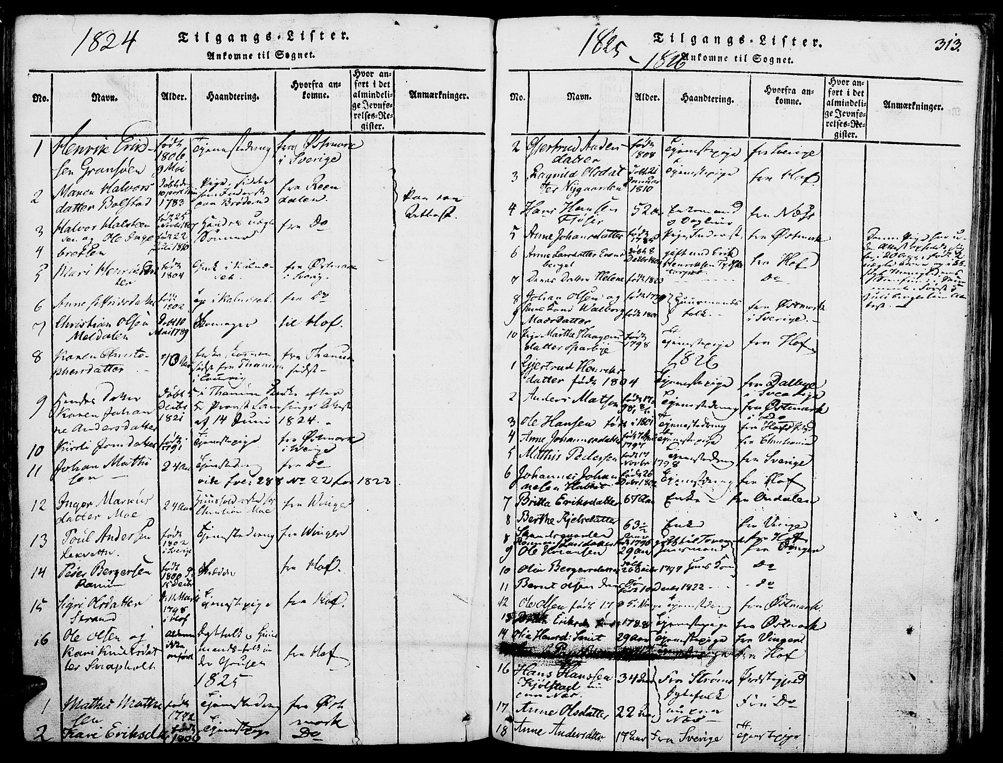 Grue prestekontor, SAH/PREST-036/H/Ha/Haa/L0006: Parish register (official) no. 6, 1814-1830, p. 313