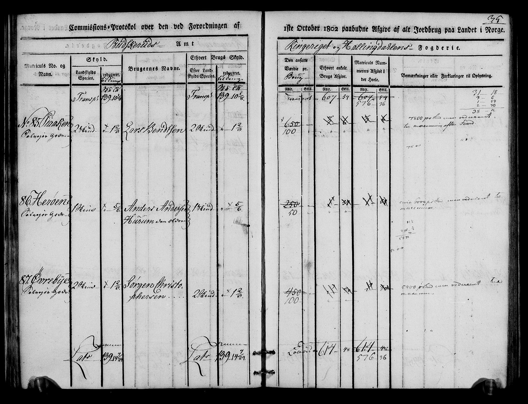 Rentekammeret inntil 1814, Realistisk ordnet avdeling, AV/RA-EA-4070/N/Ne/Nea/L0046: Ringerike og Hallingdal fogderi. Kommisjonsprotokoll for Hole prestegjeld, 1803, p. 36