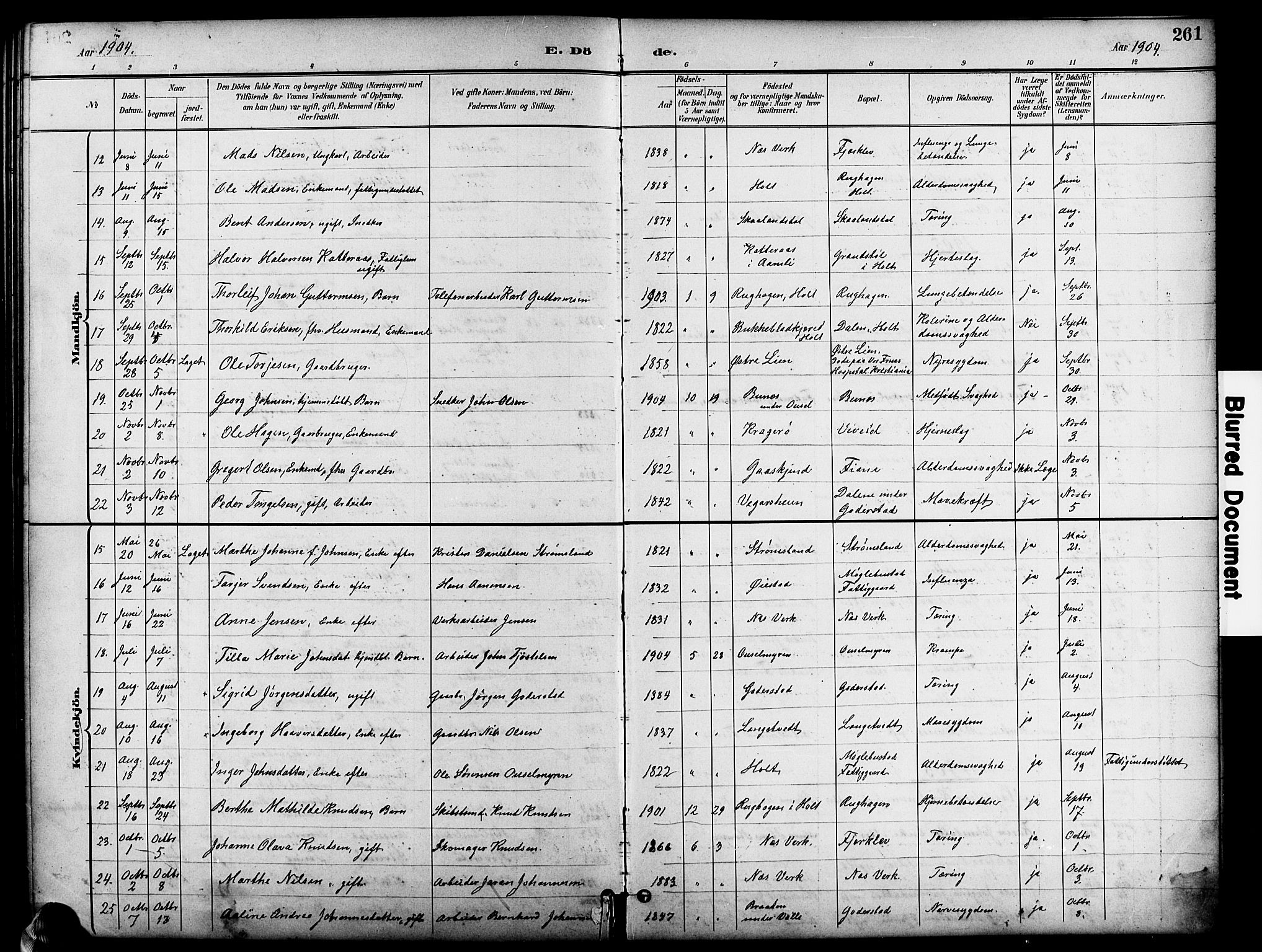Holt sokneprestkontor, SAK/1111-0021/F/Fb/L0011: Parish register (copy) no. B 11, 1897-1921, p. 261